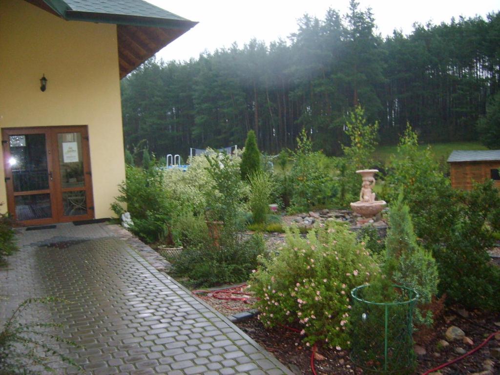 Photo 23