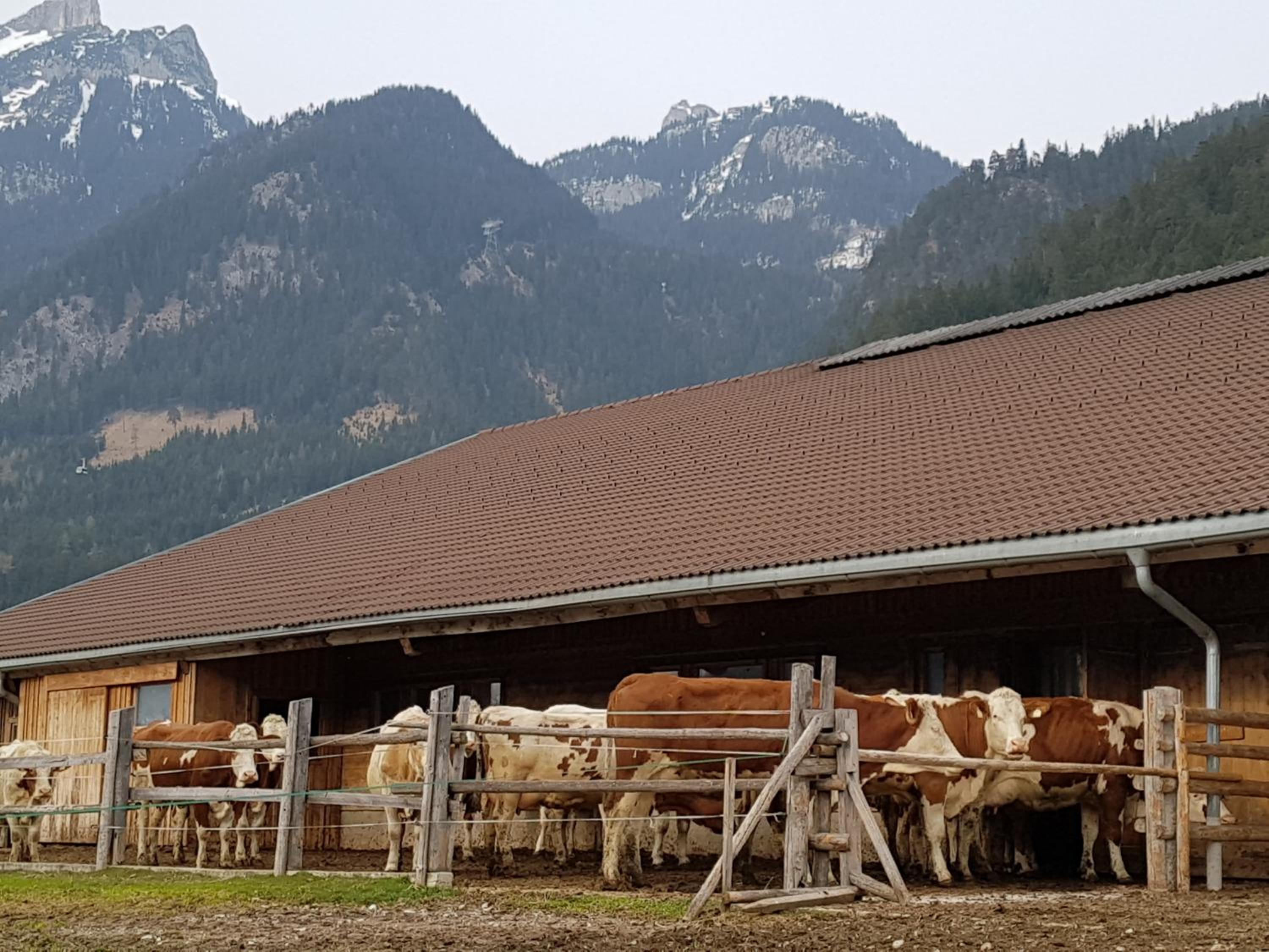 Haidacherhof