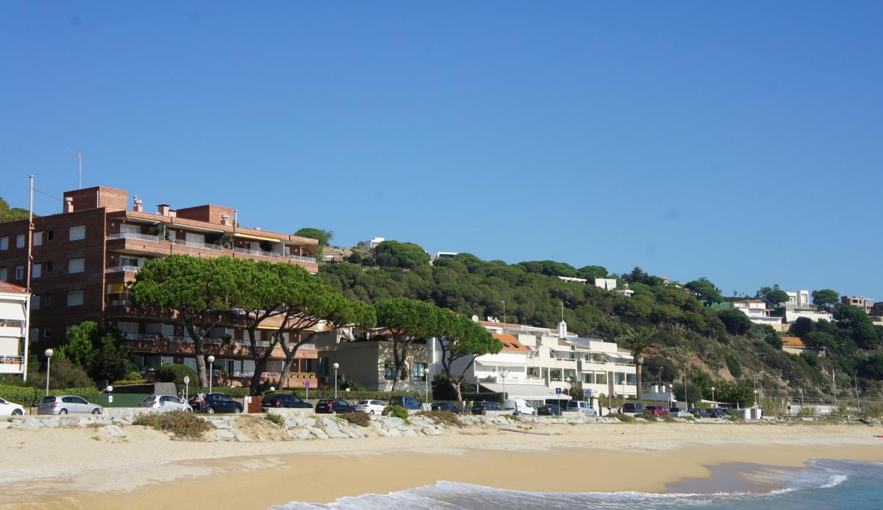 Musclera view 2