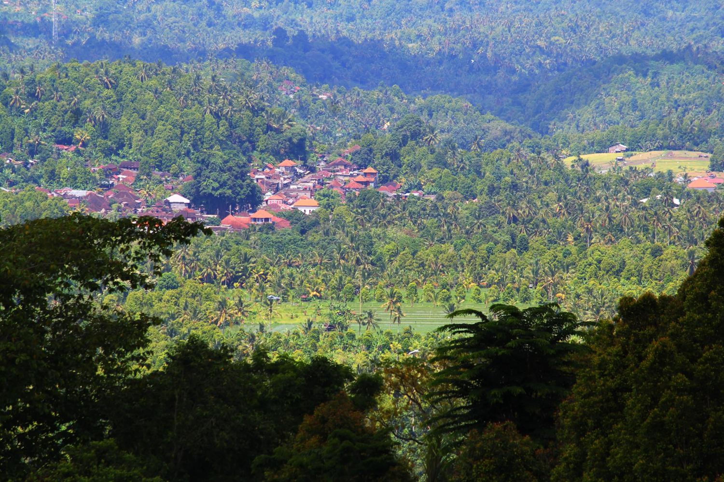 Melanting Cottages