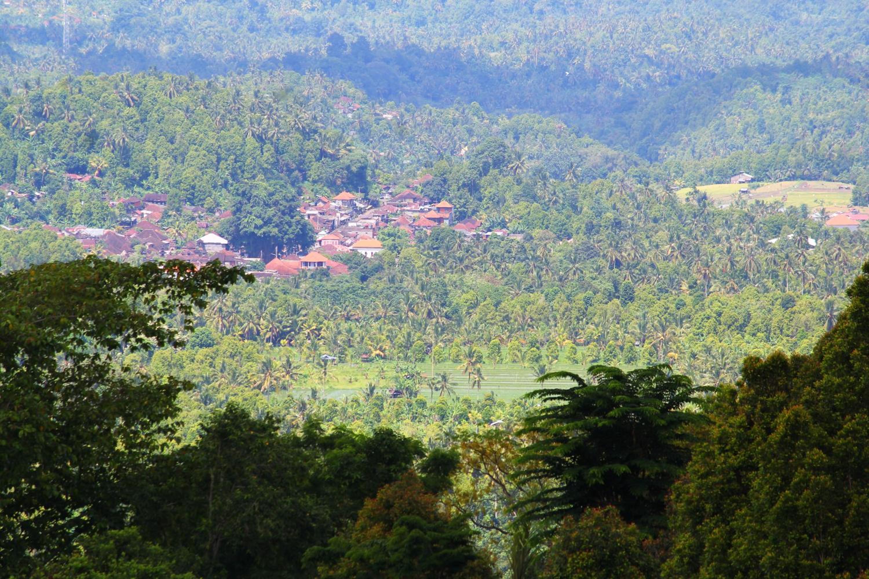 Melanting Cottages