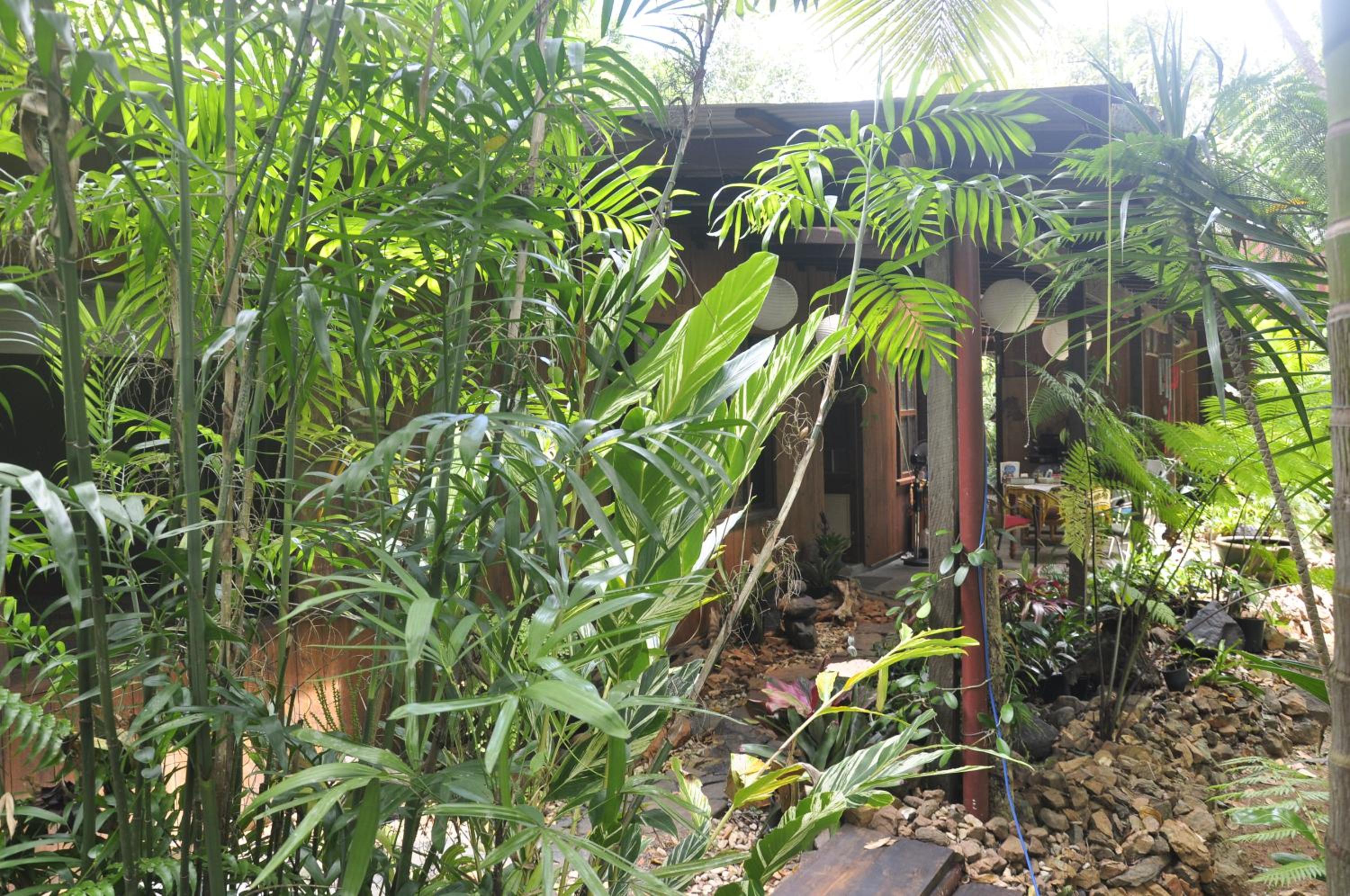 Tropical Bliss bed and breakfast