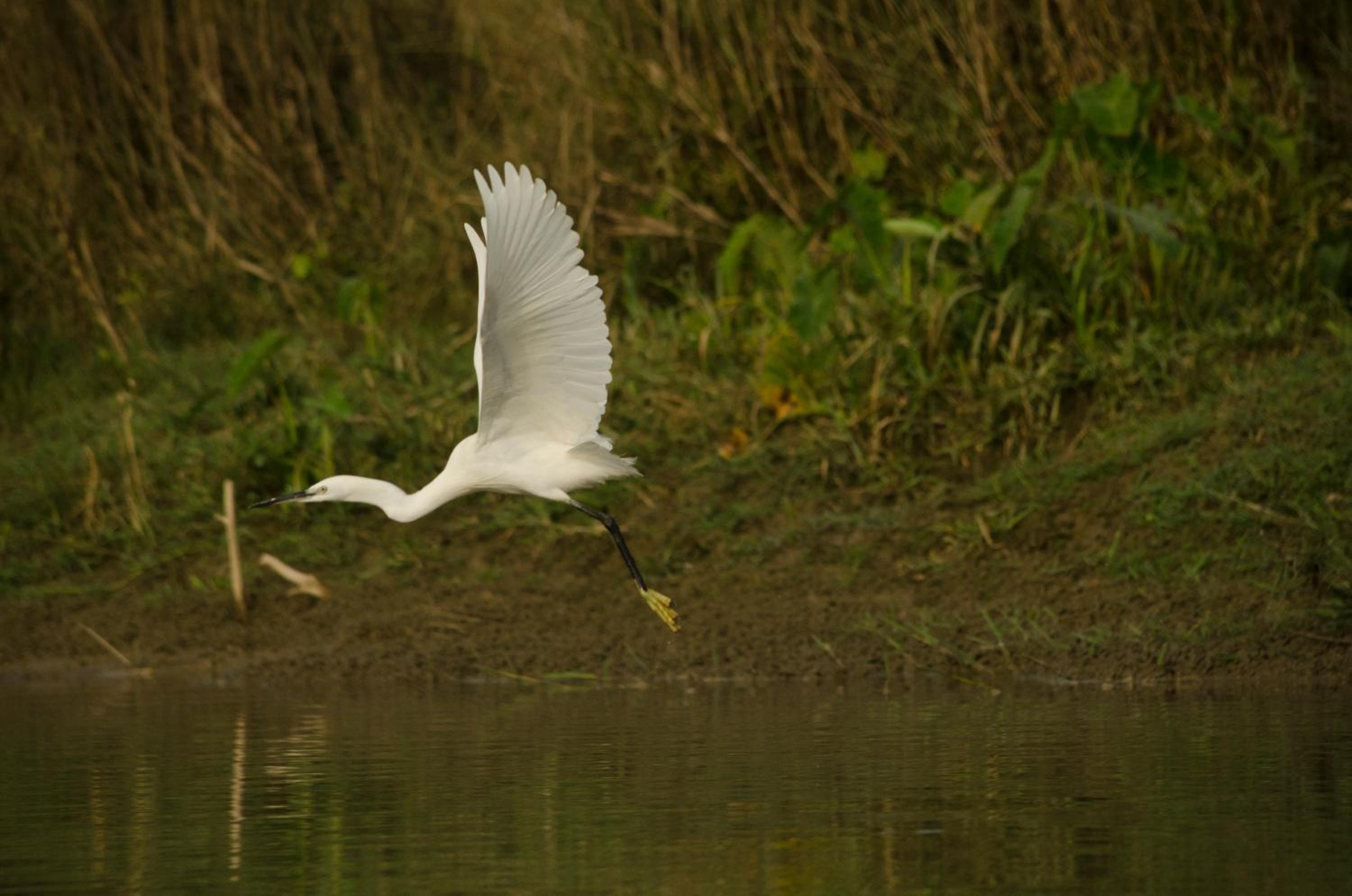 Kasara Chitwan