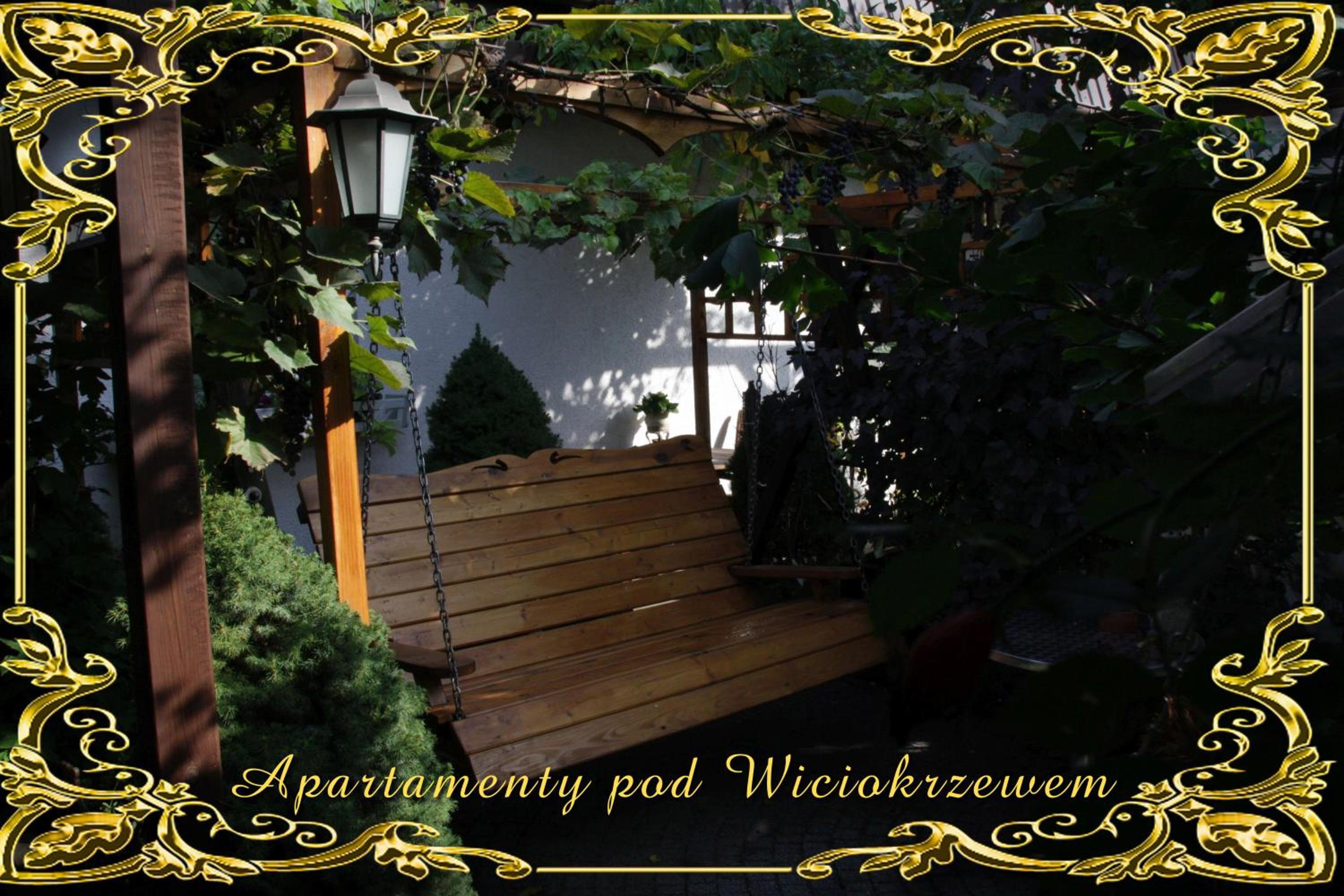 Photo 54