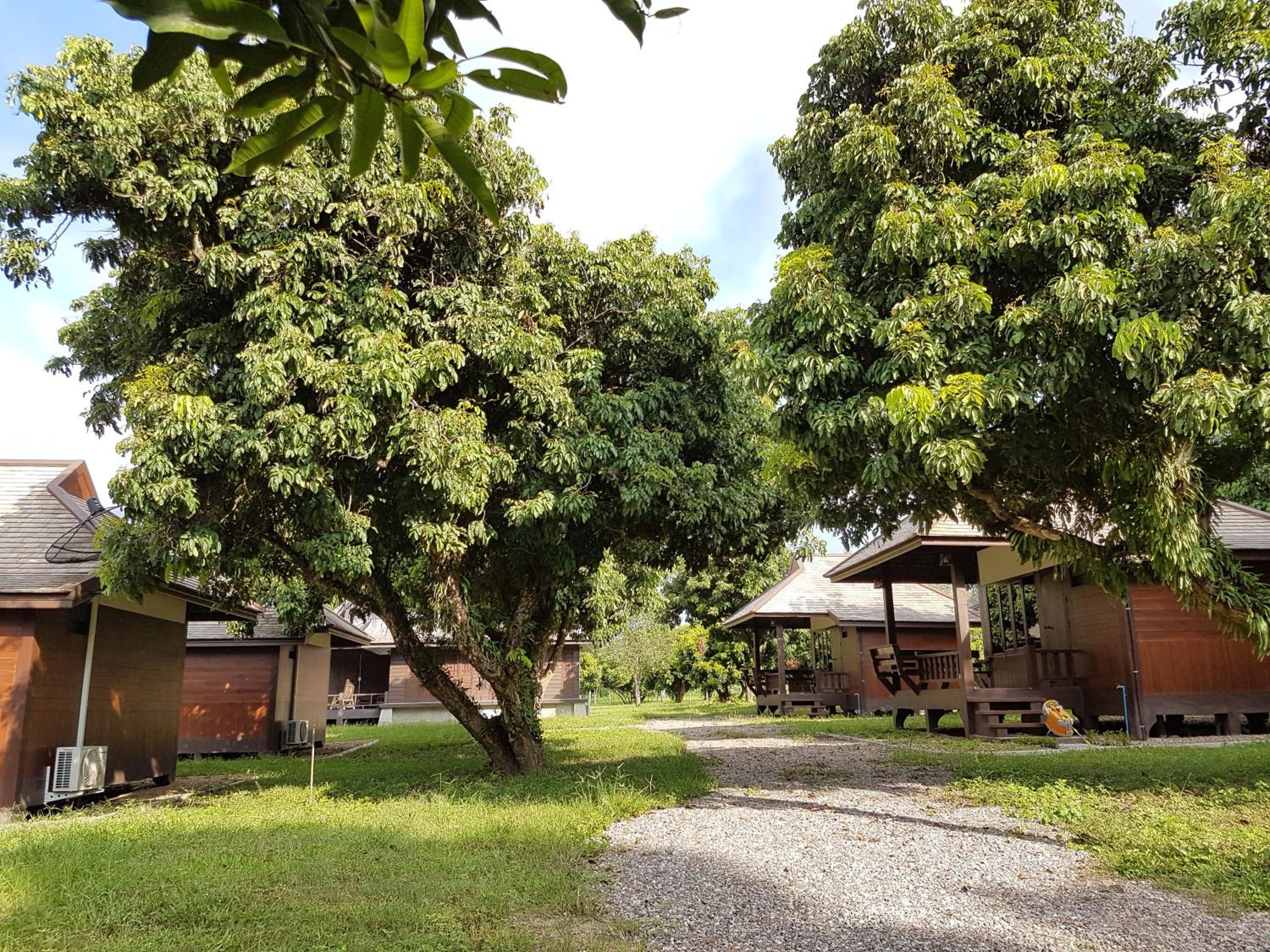 Phutawan Pundao