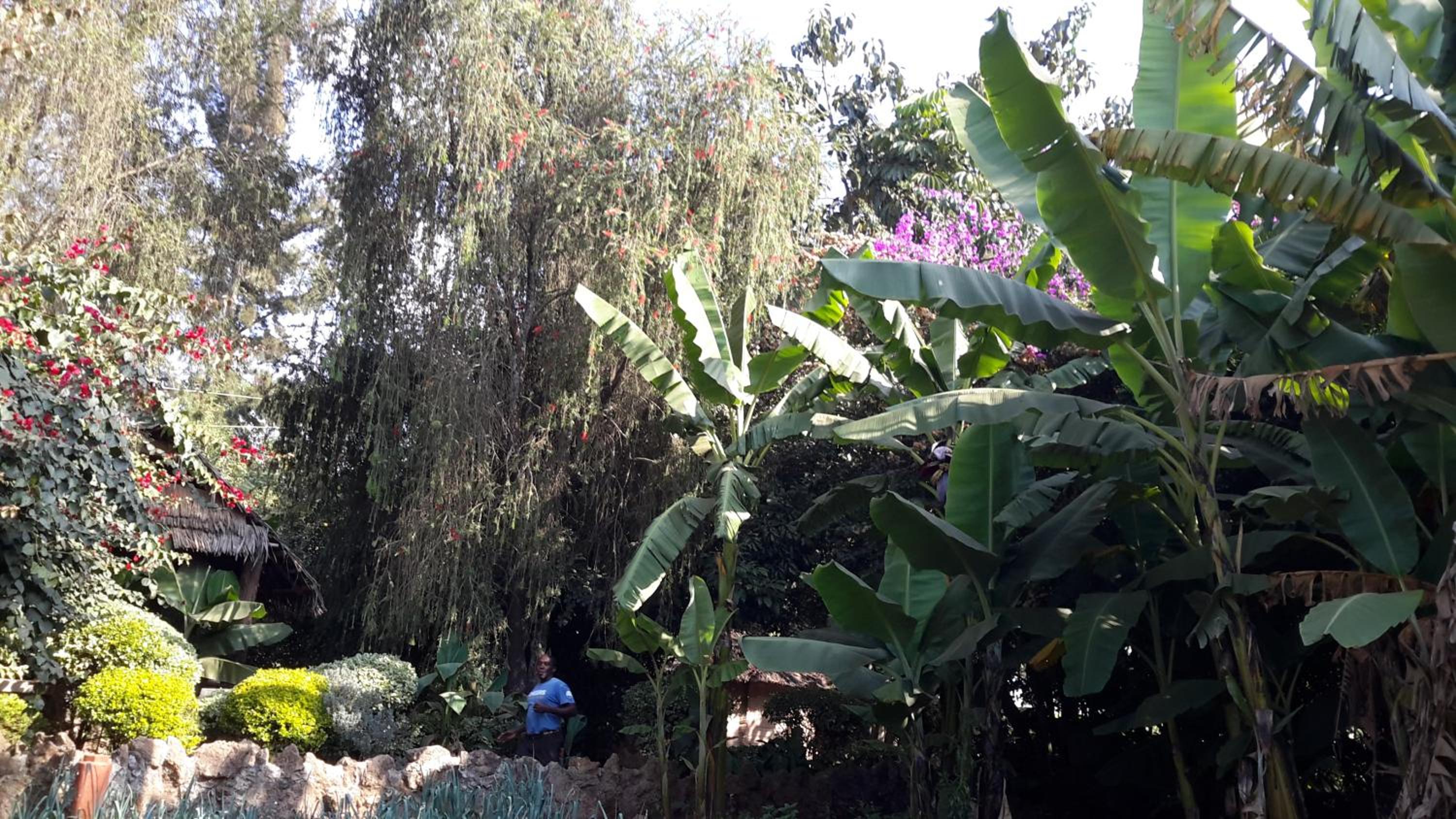 Karen Little Paradise, ECO Garden Hotel & Farm