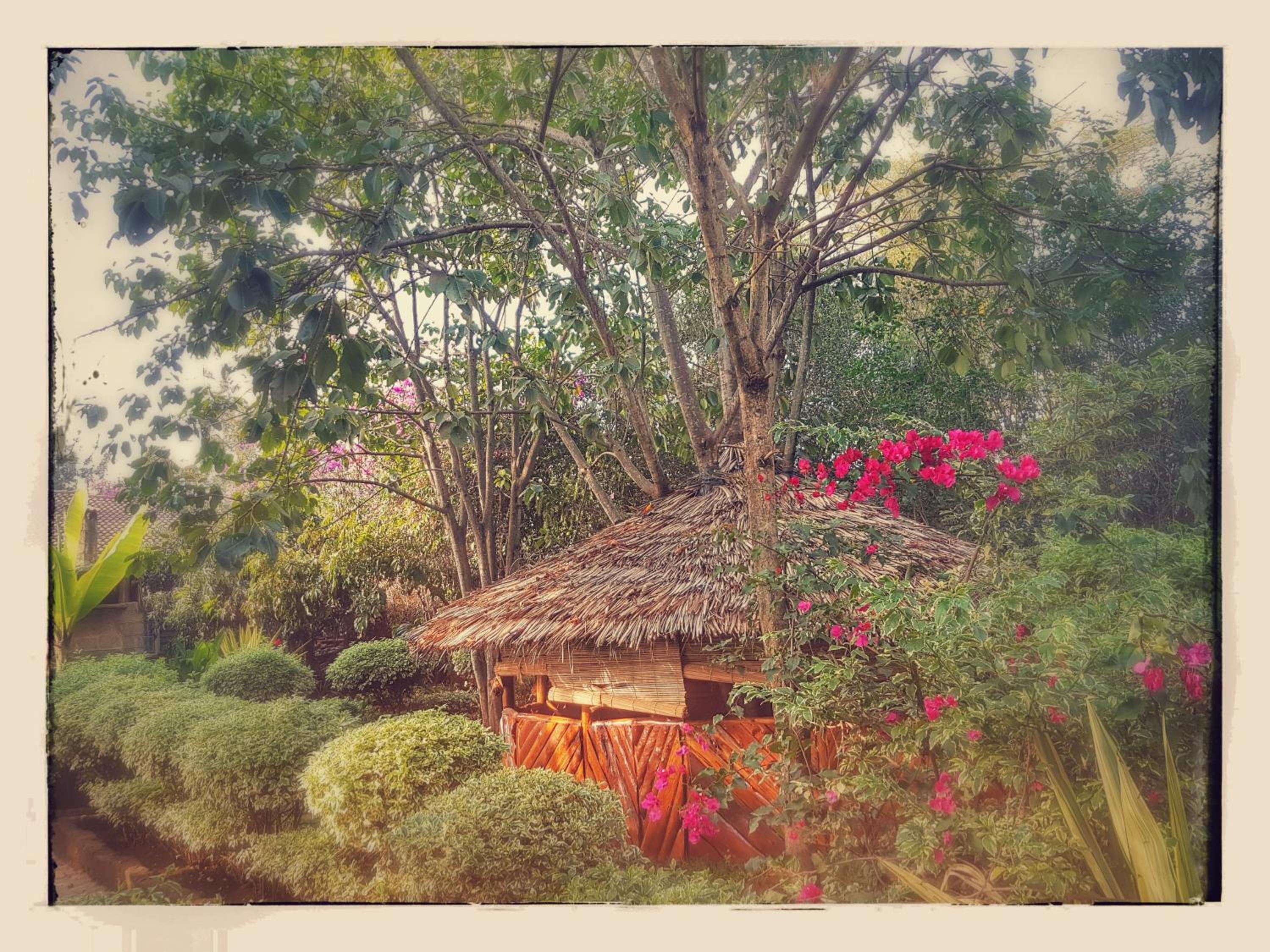 Karen Little Paradise, ECO Garden Hotel & Farm