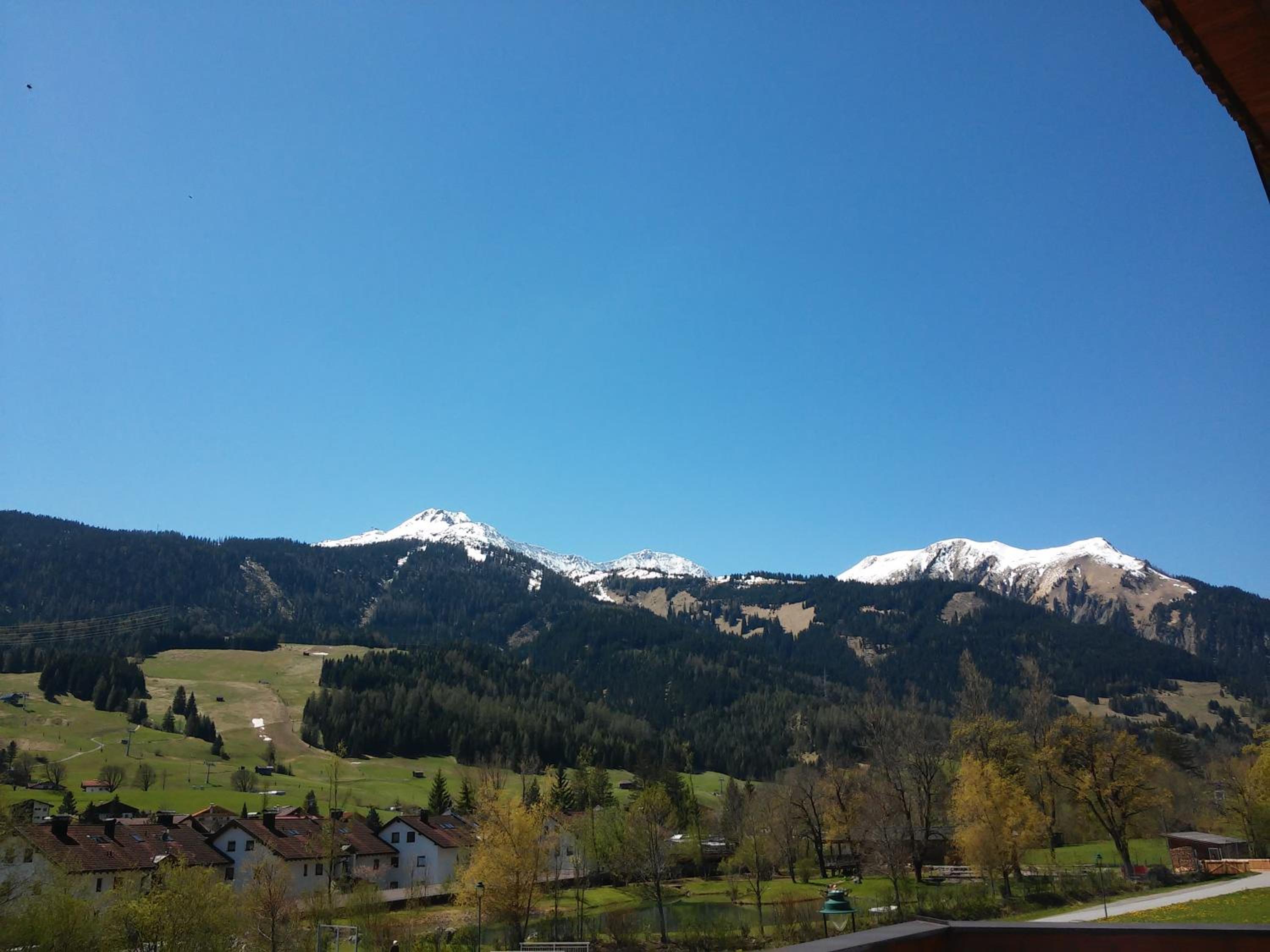 Photo 201