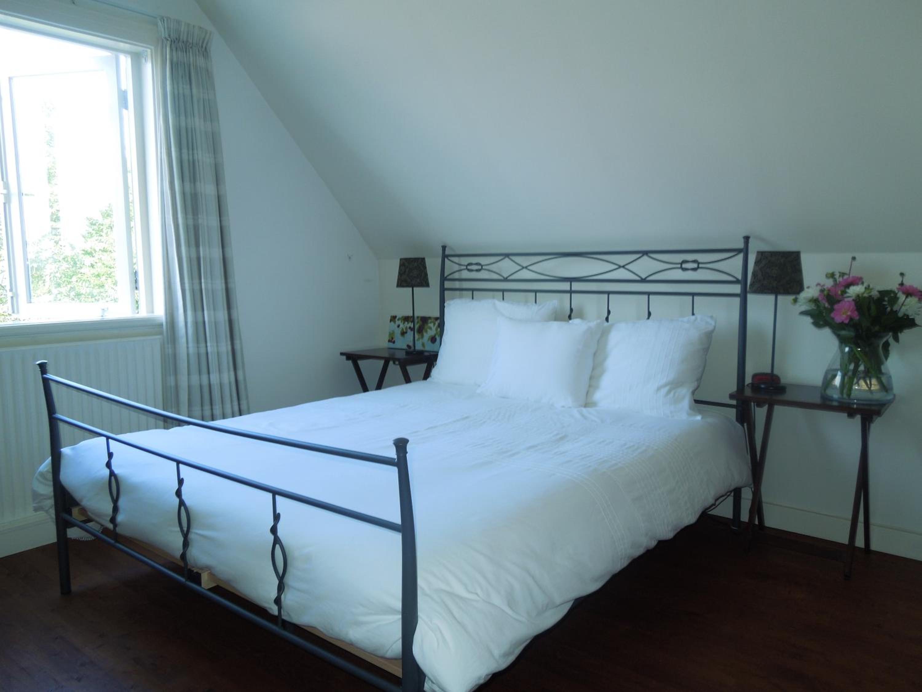 Bed & Breakfast Frans Hals Haarlem view 3