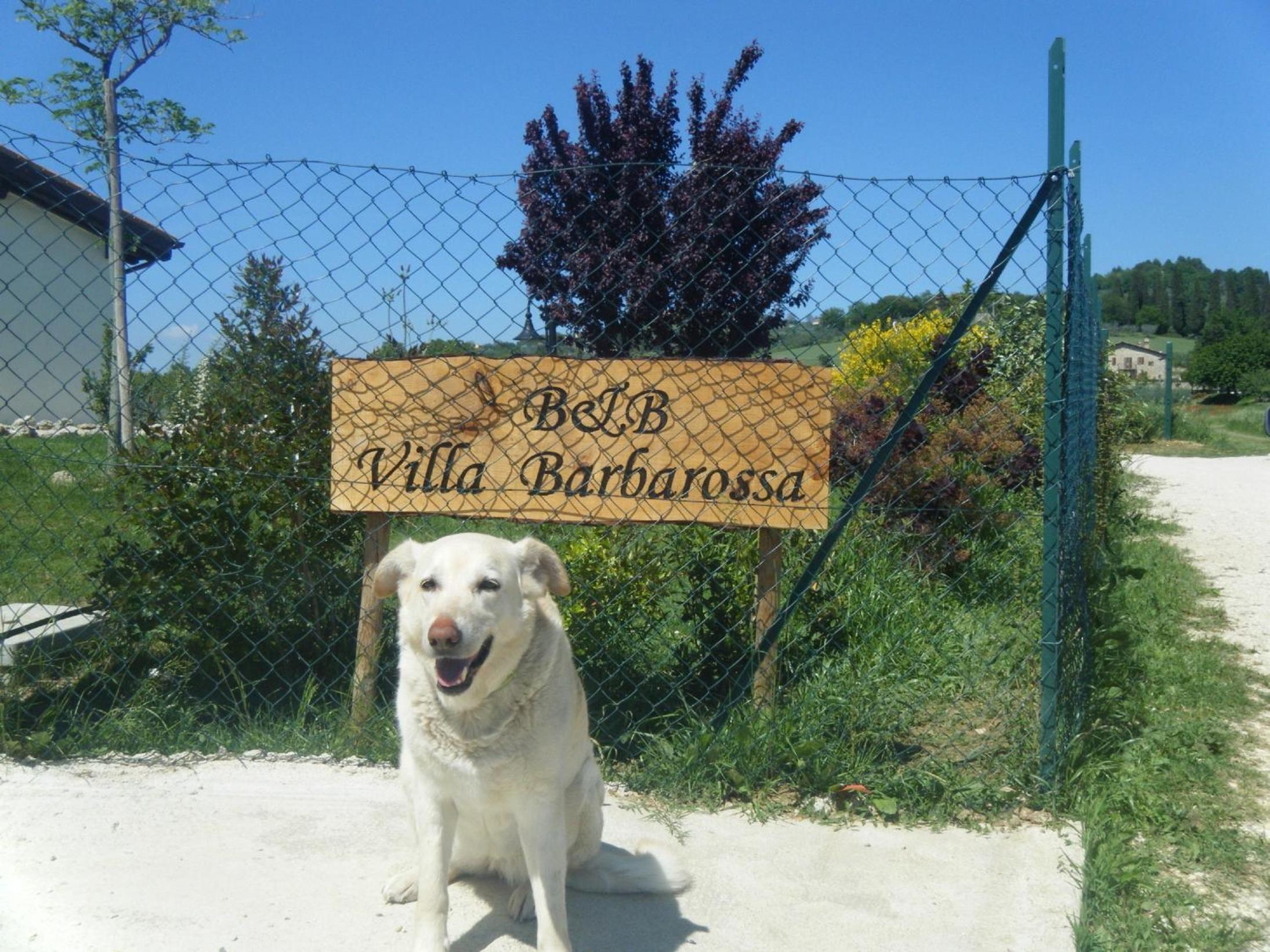 Villa Barbarossa, photo 2