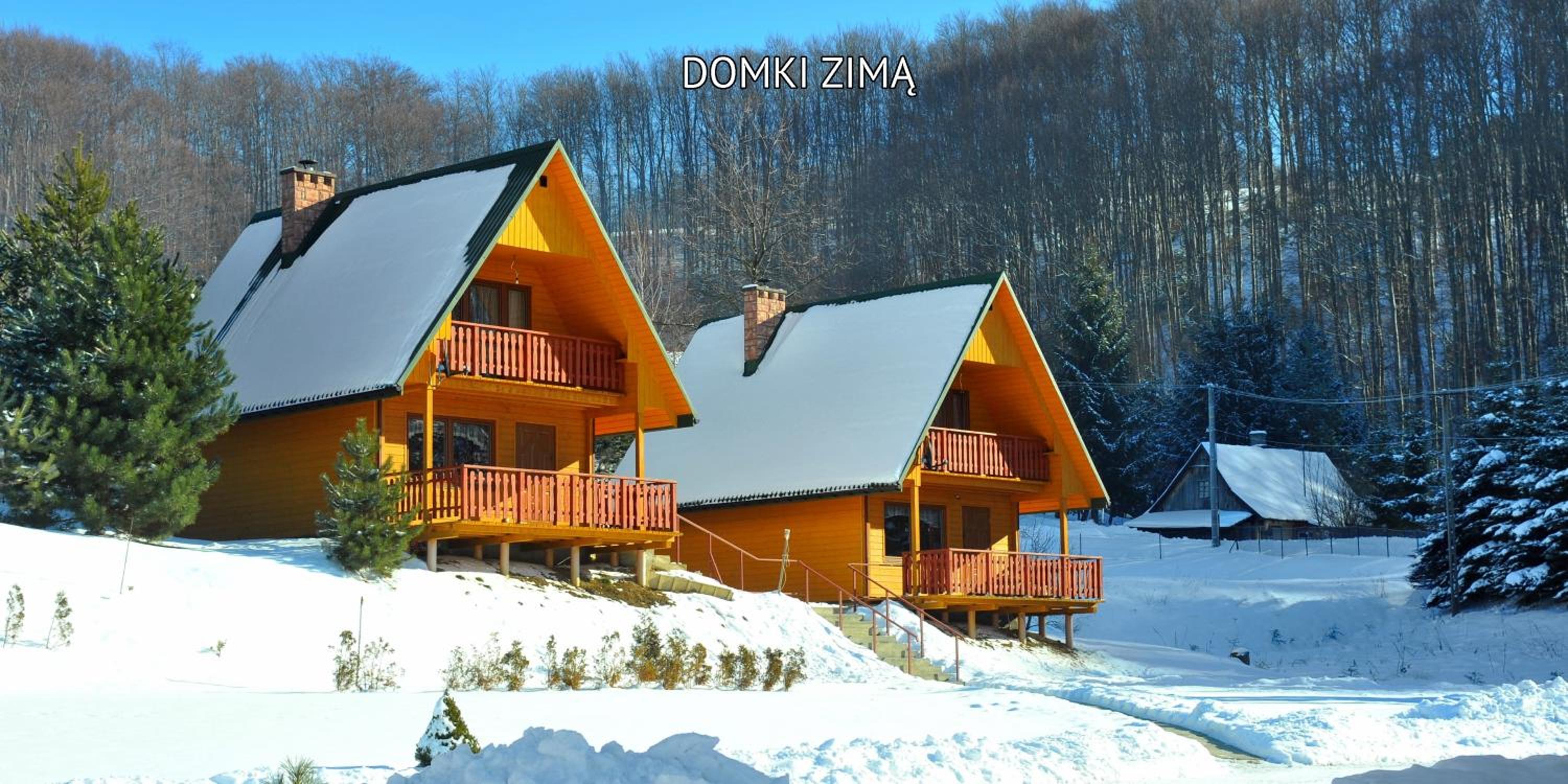 Bieszczady Sosnowa Aleja view 5