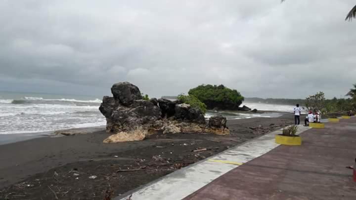 Photo 19