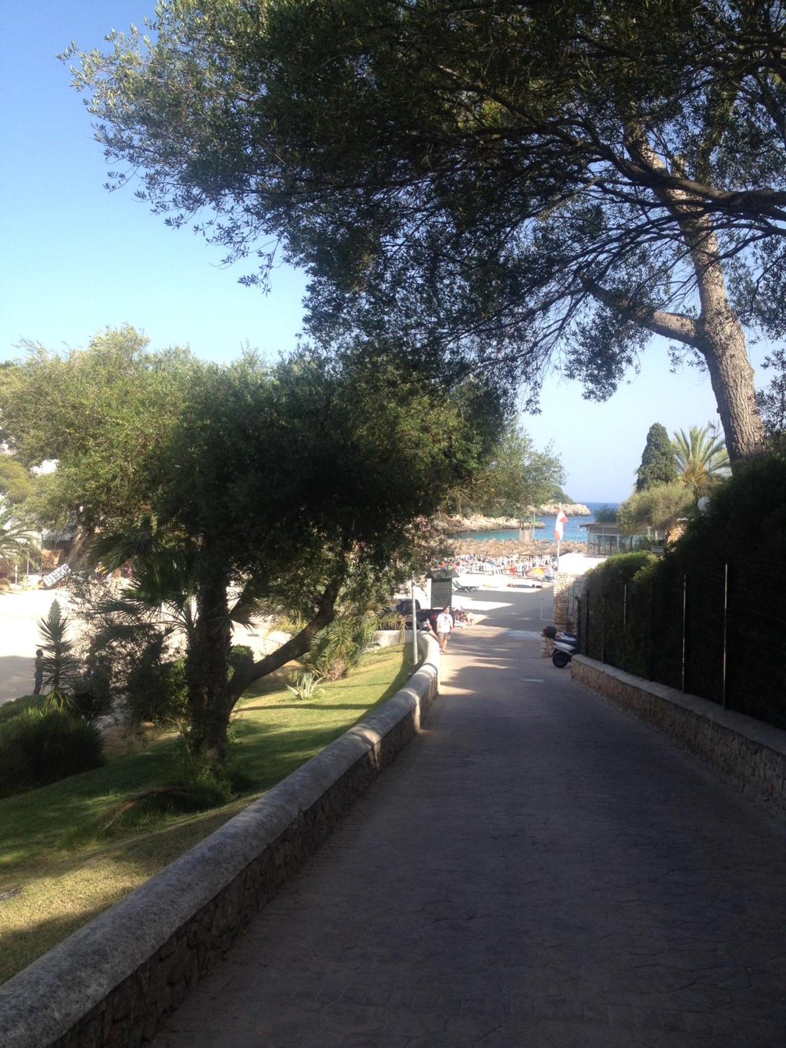 Photo 38