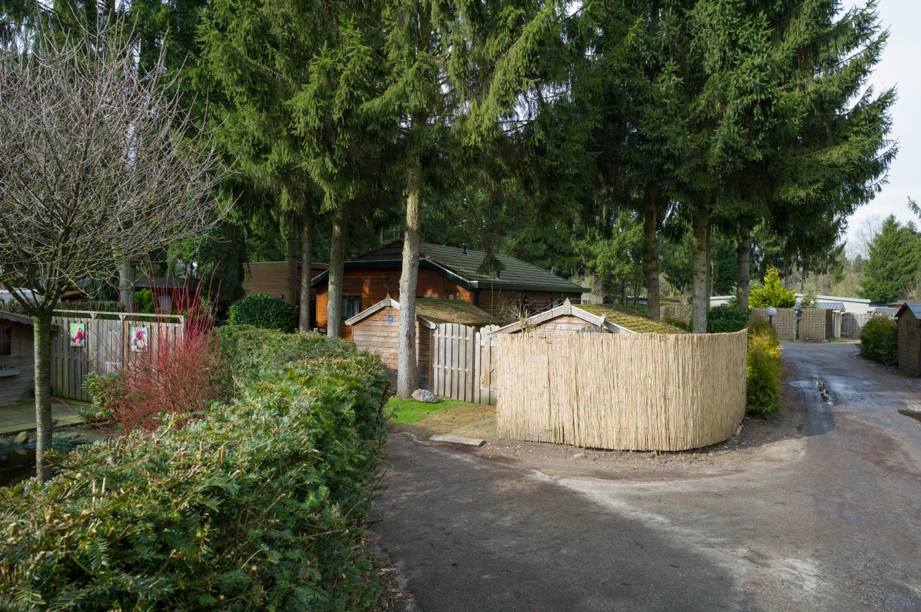Photo 48
