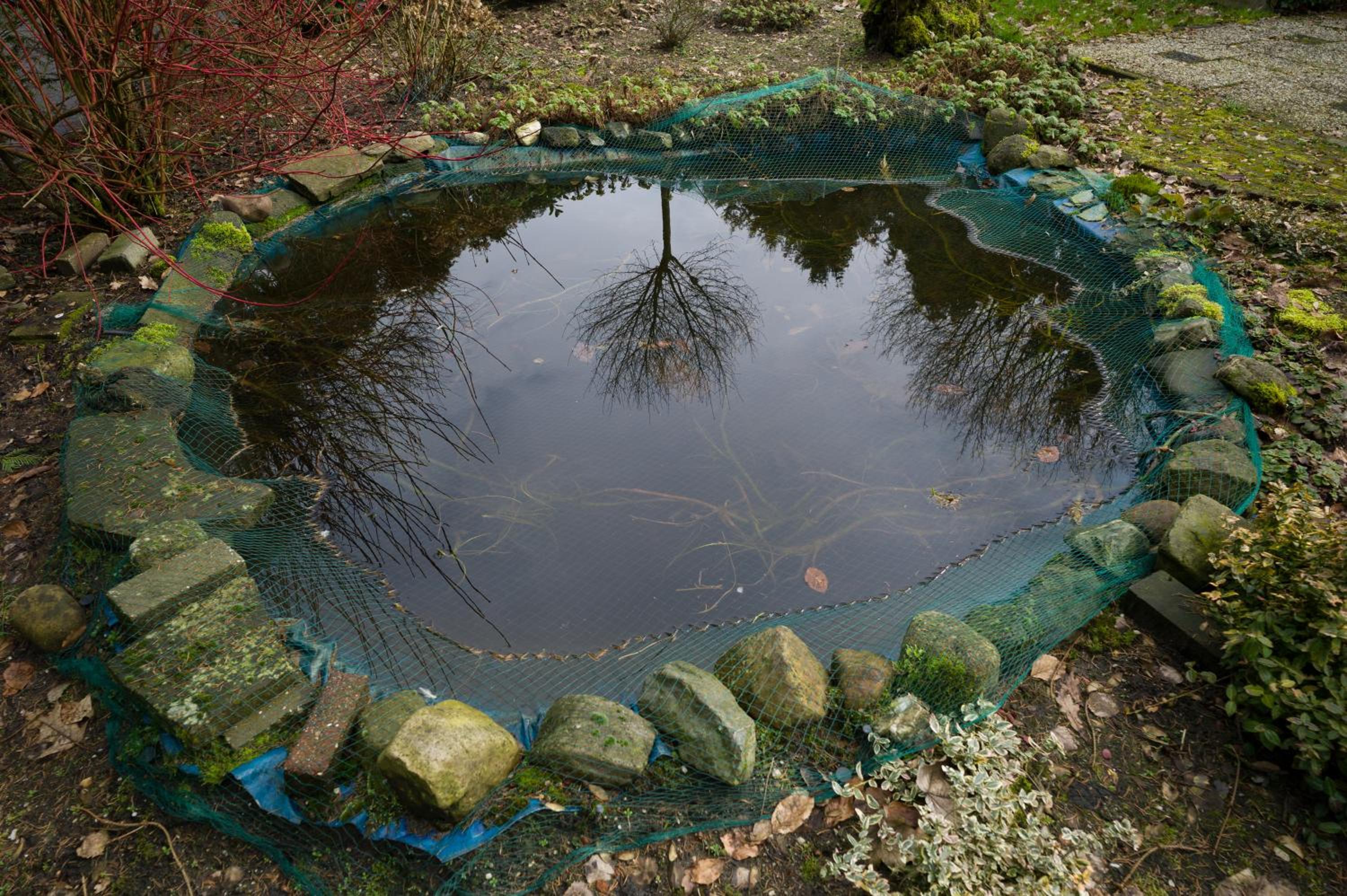 Photo 46