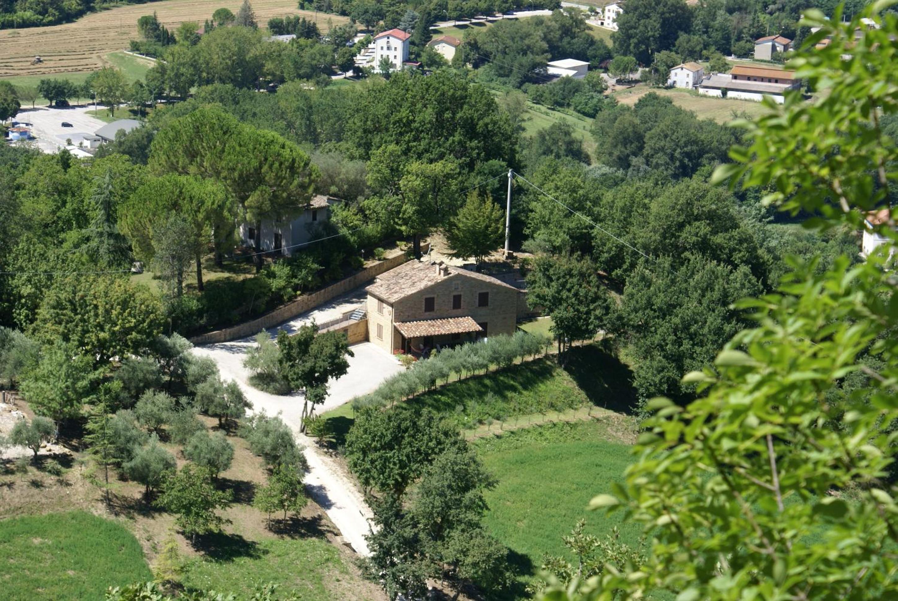 Photo 28