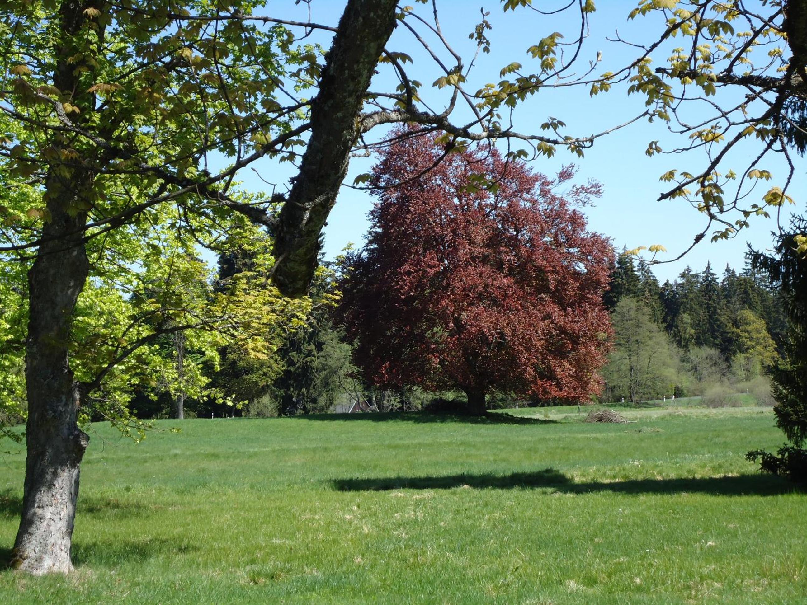 Photo 22