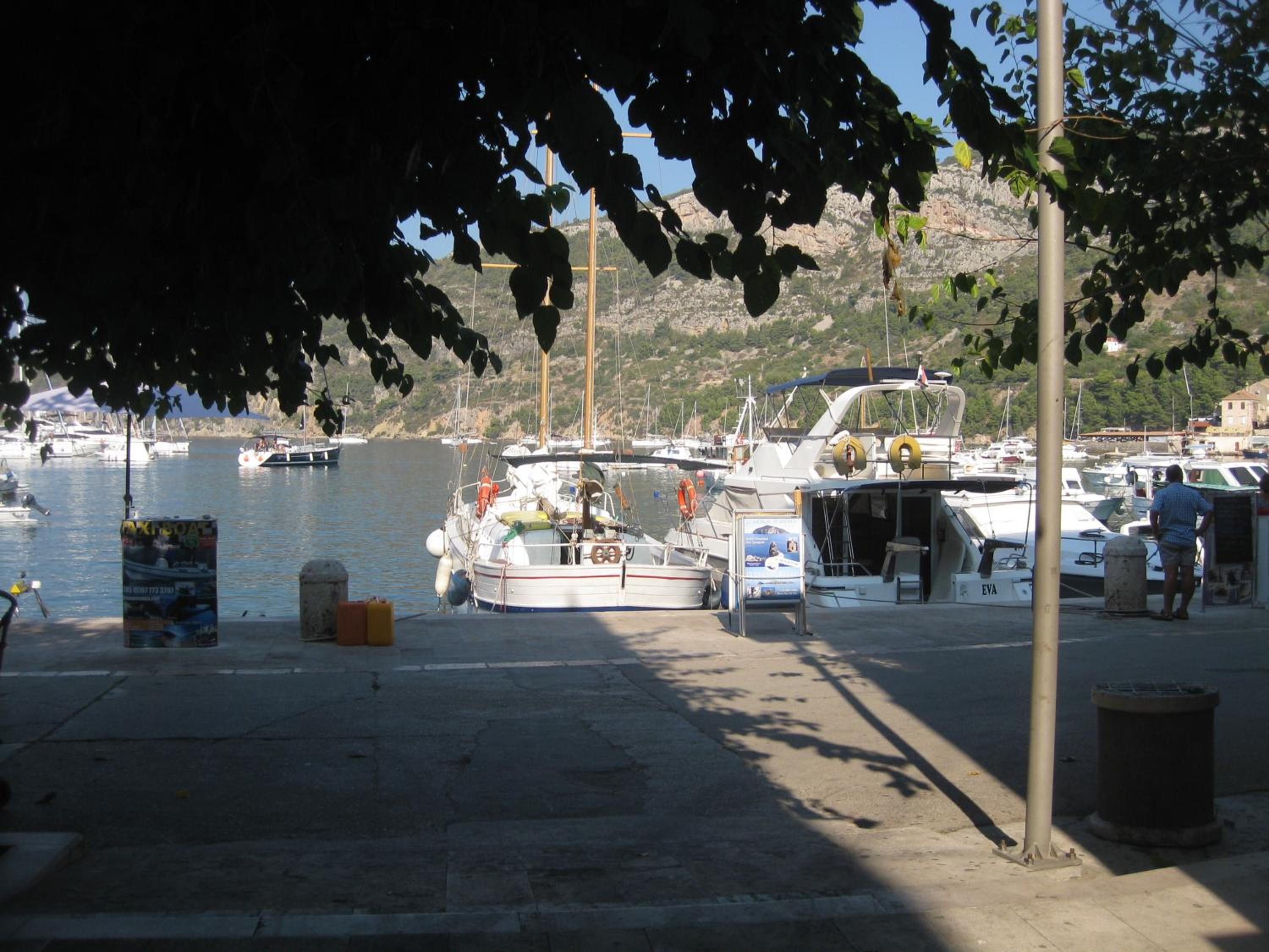 Photo 8
