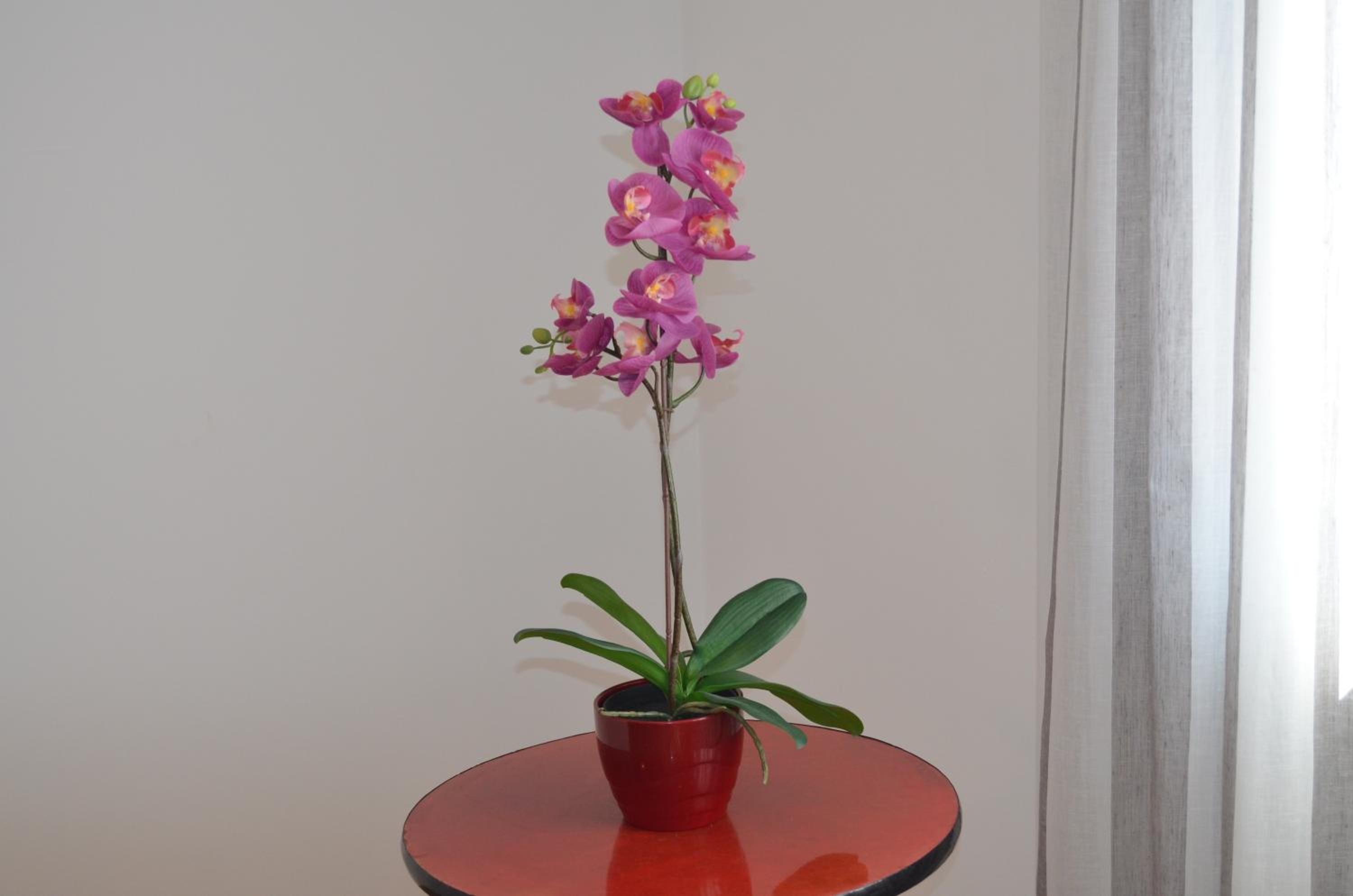 Photo 45