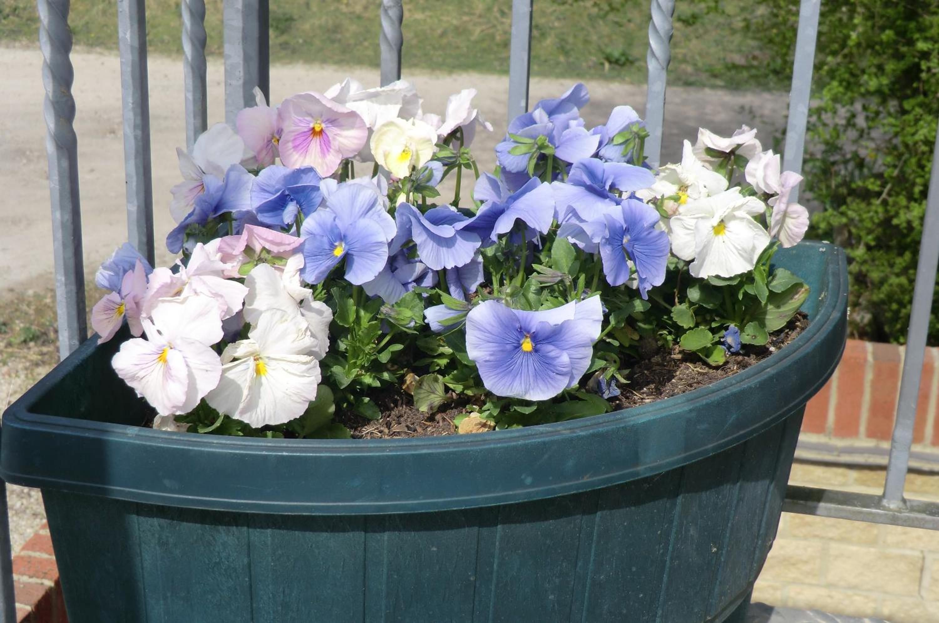 Photo 46