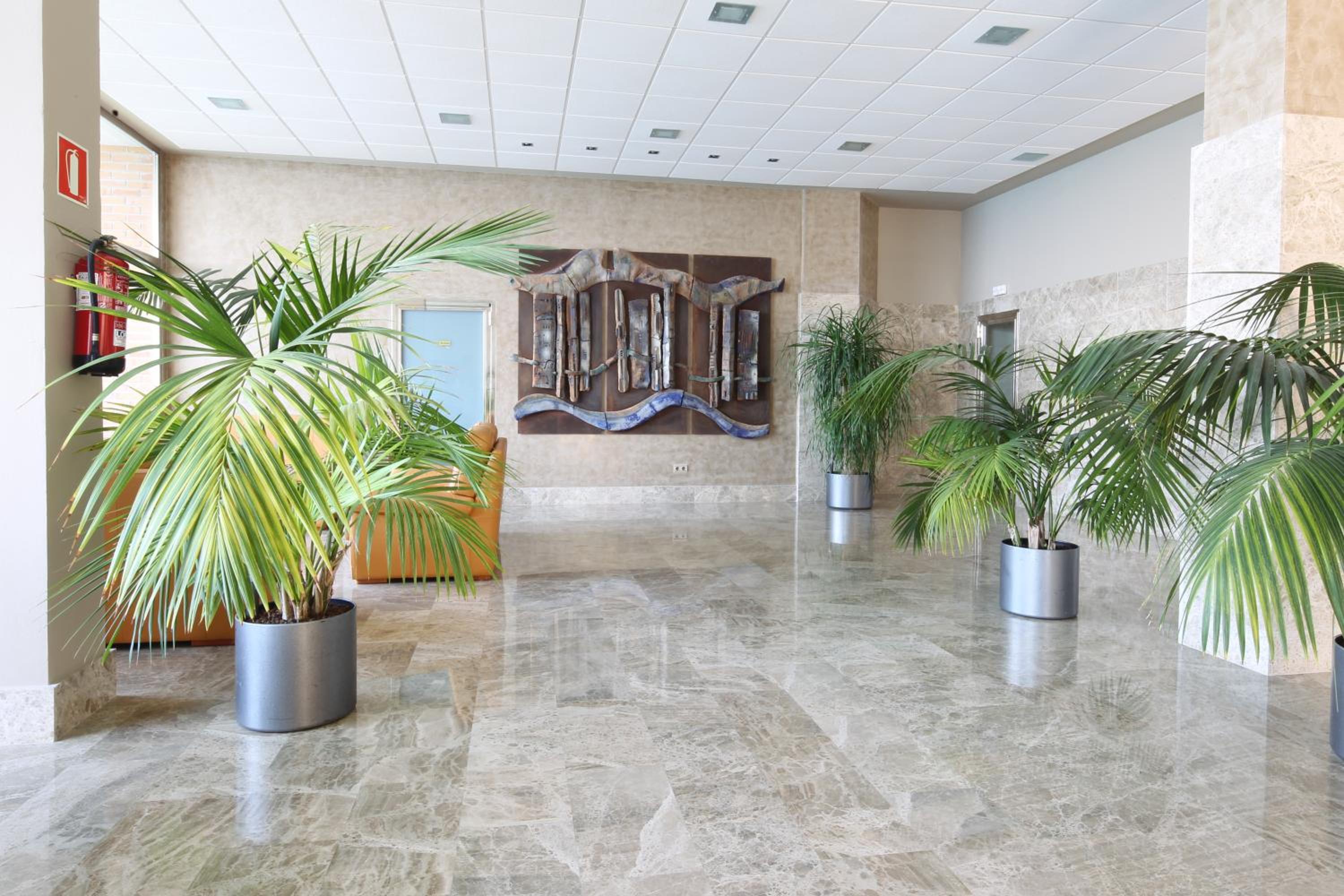 recepcion & lobby
