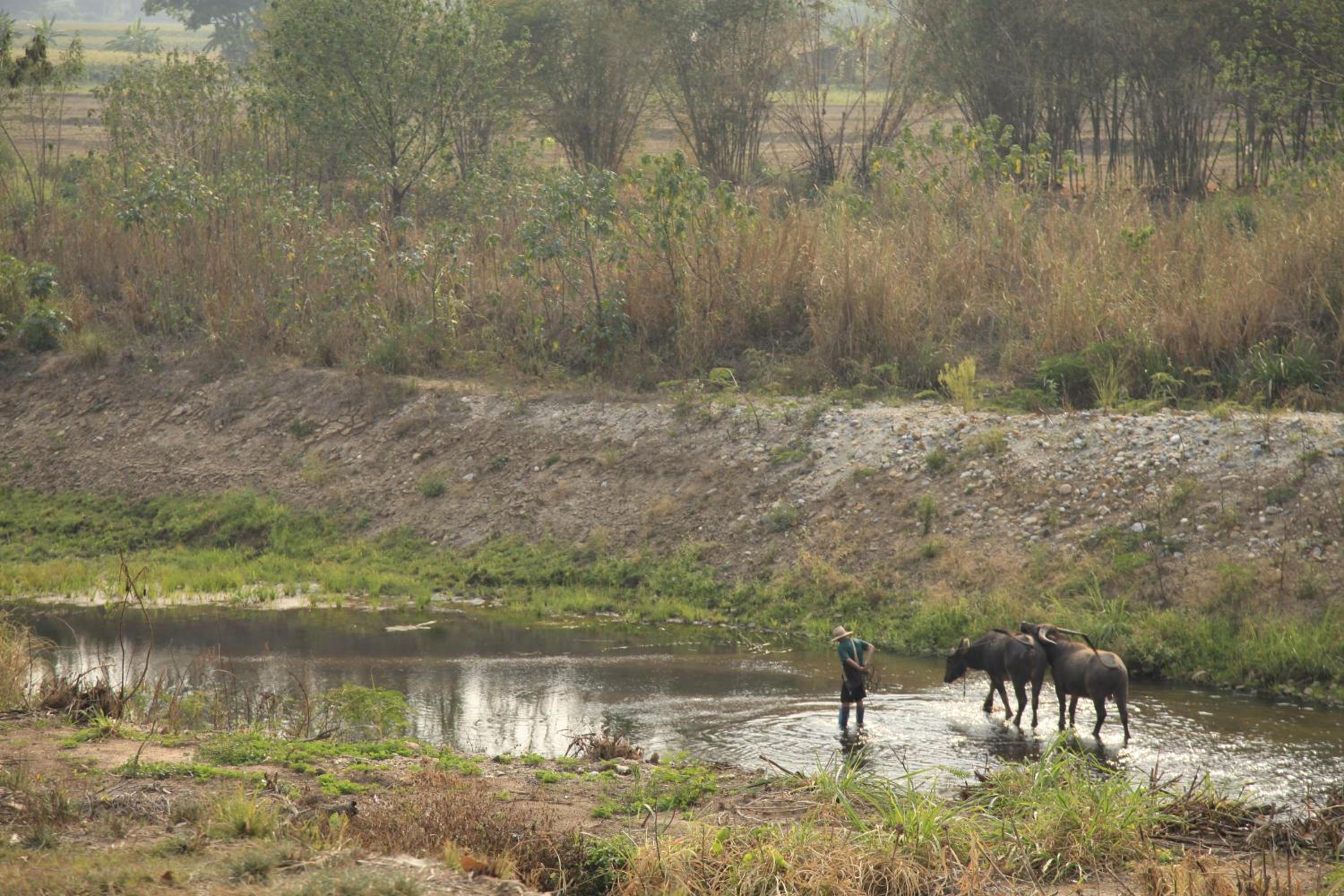 Phutawan Pundao
