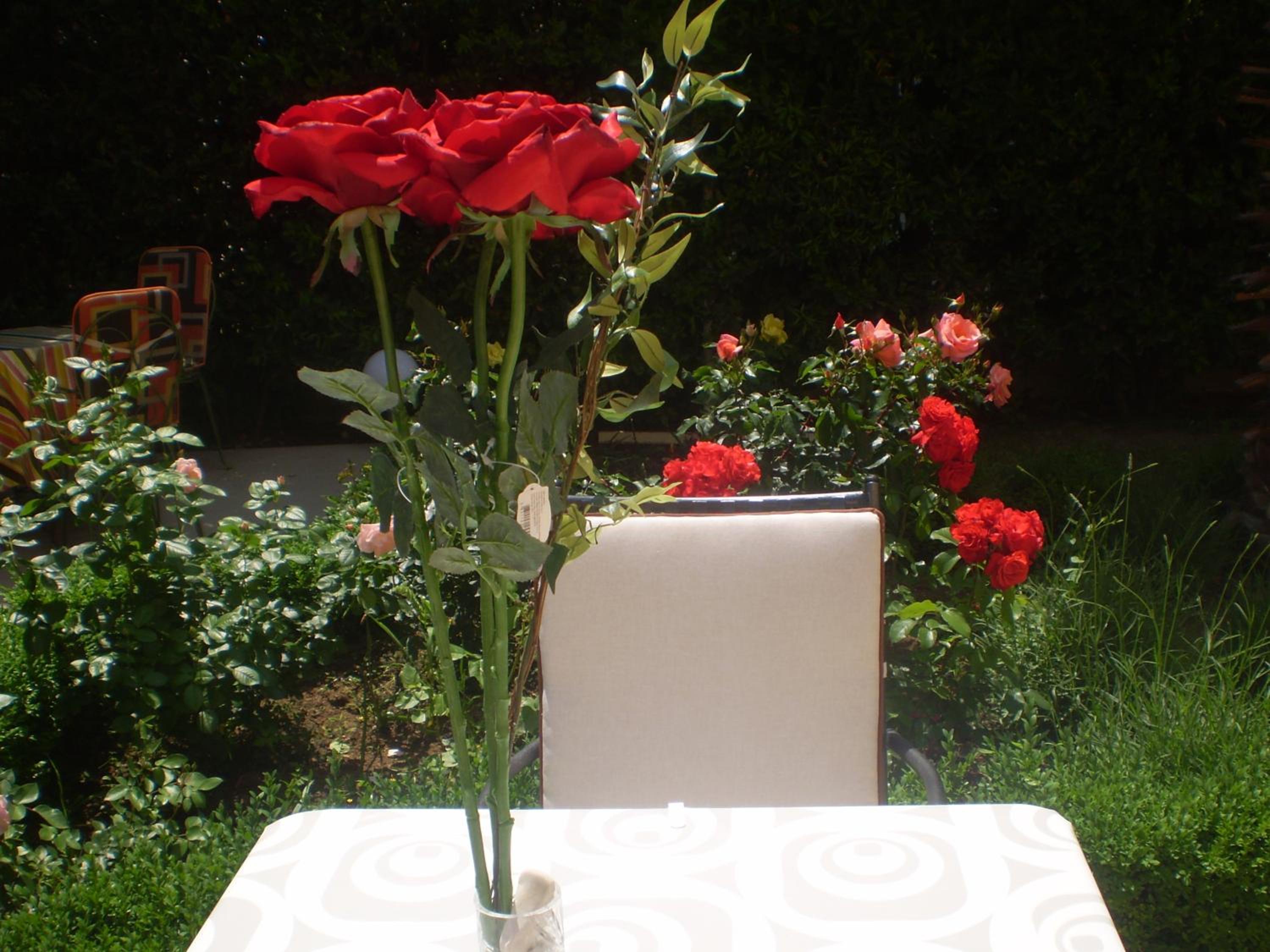 Photo 63