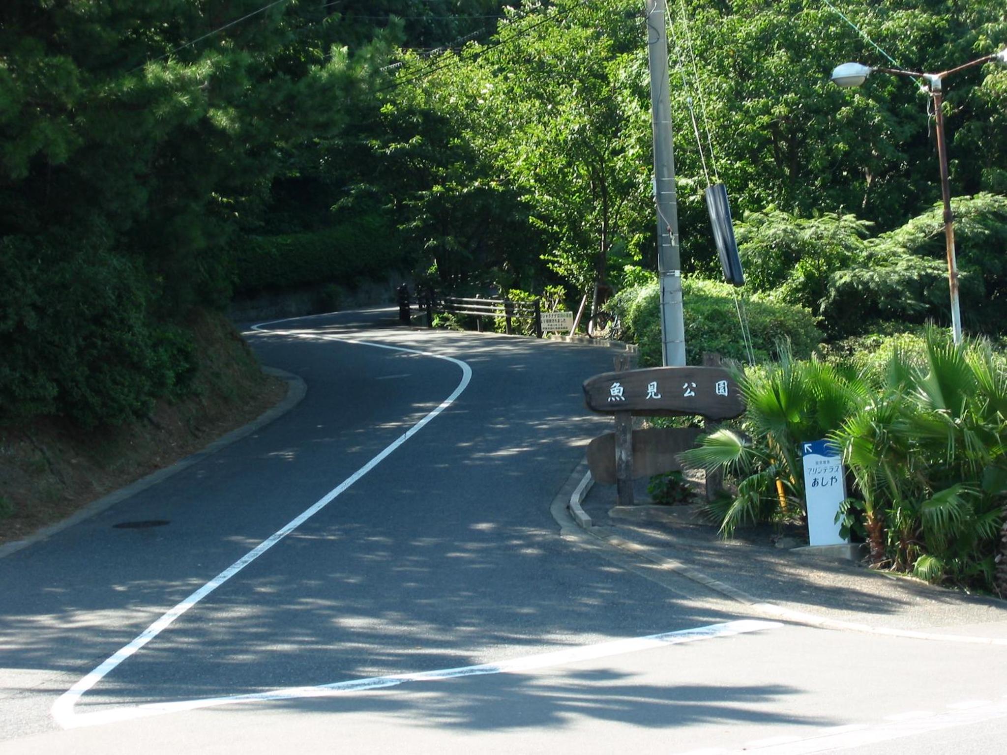 Photo 25