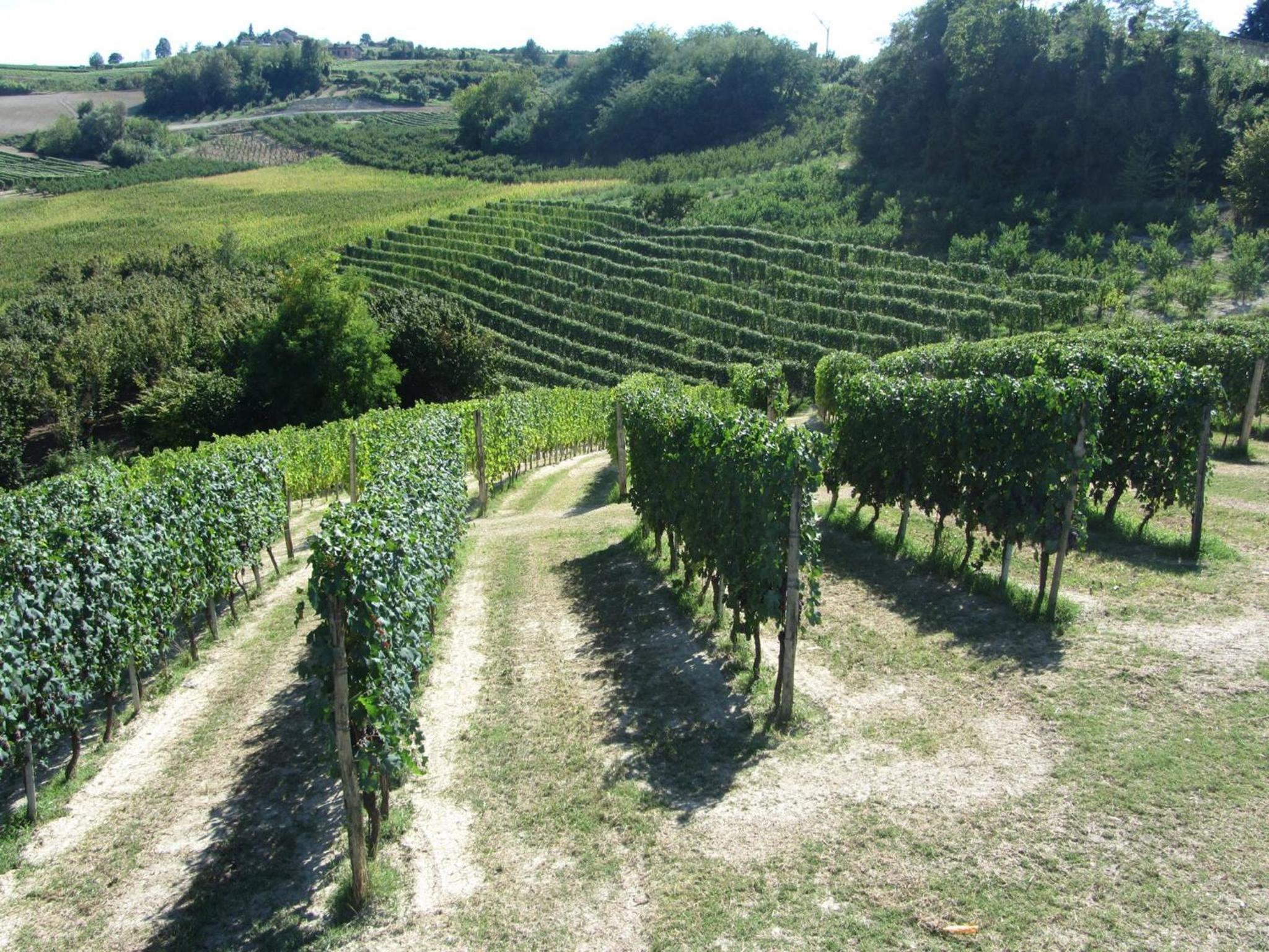 Costa Catterina B&B