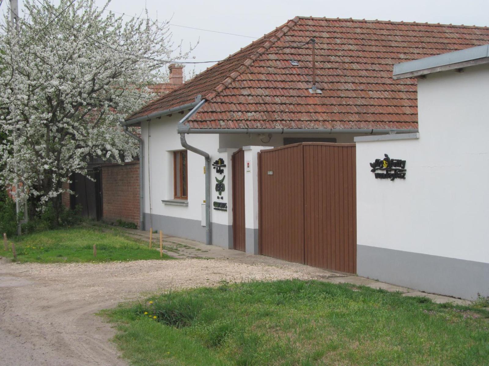 Photo 25