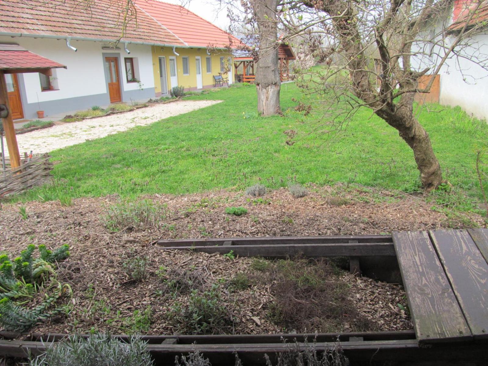 Photo 23