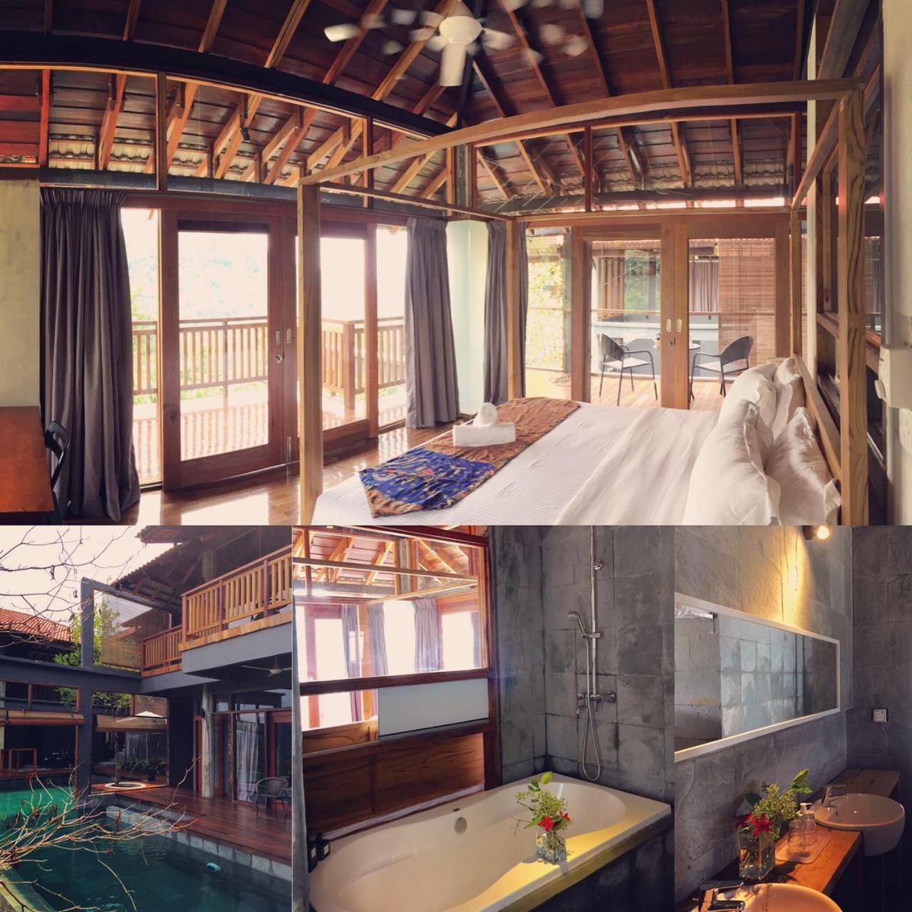 The Shorea