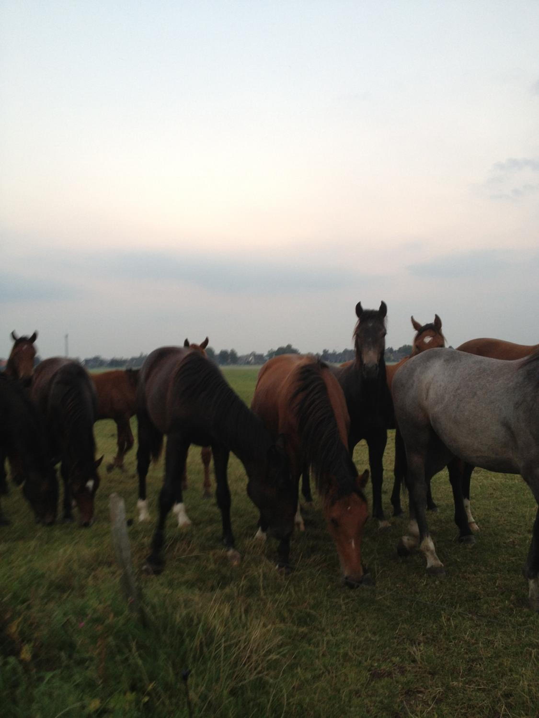 Farm stay Hof auf der Wurp