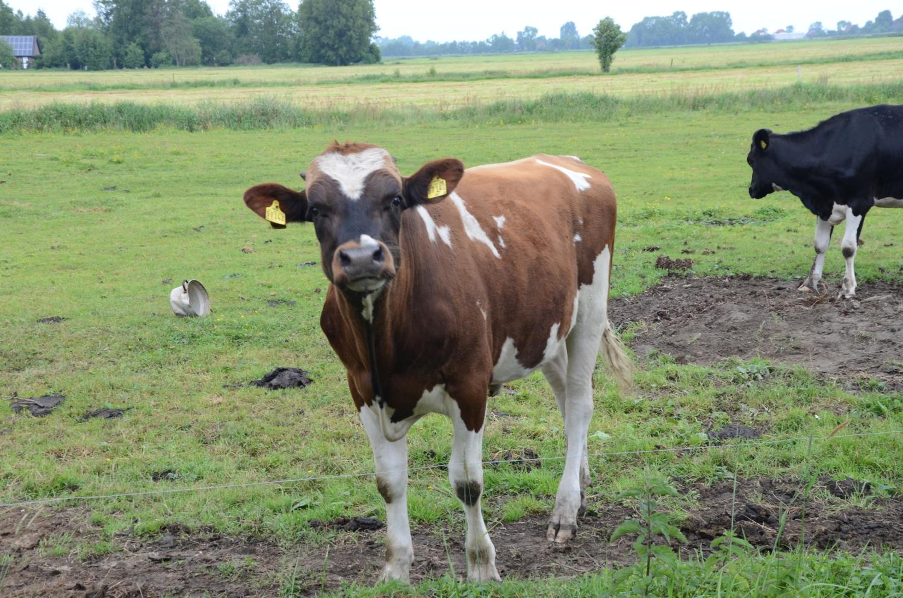 Farm stay Hof auf der Wurp