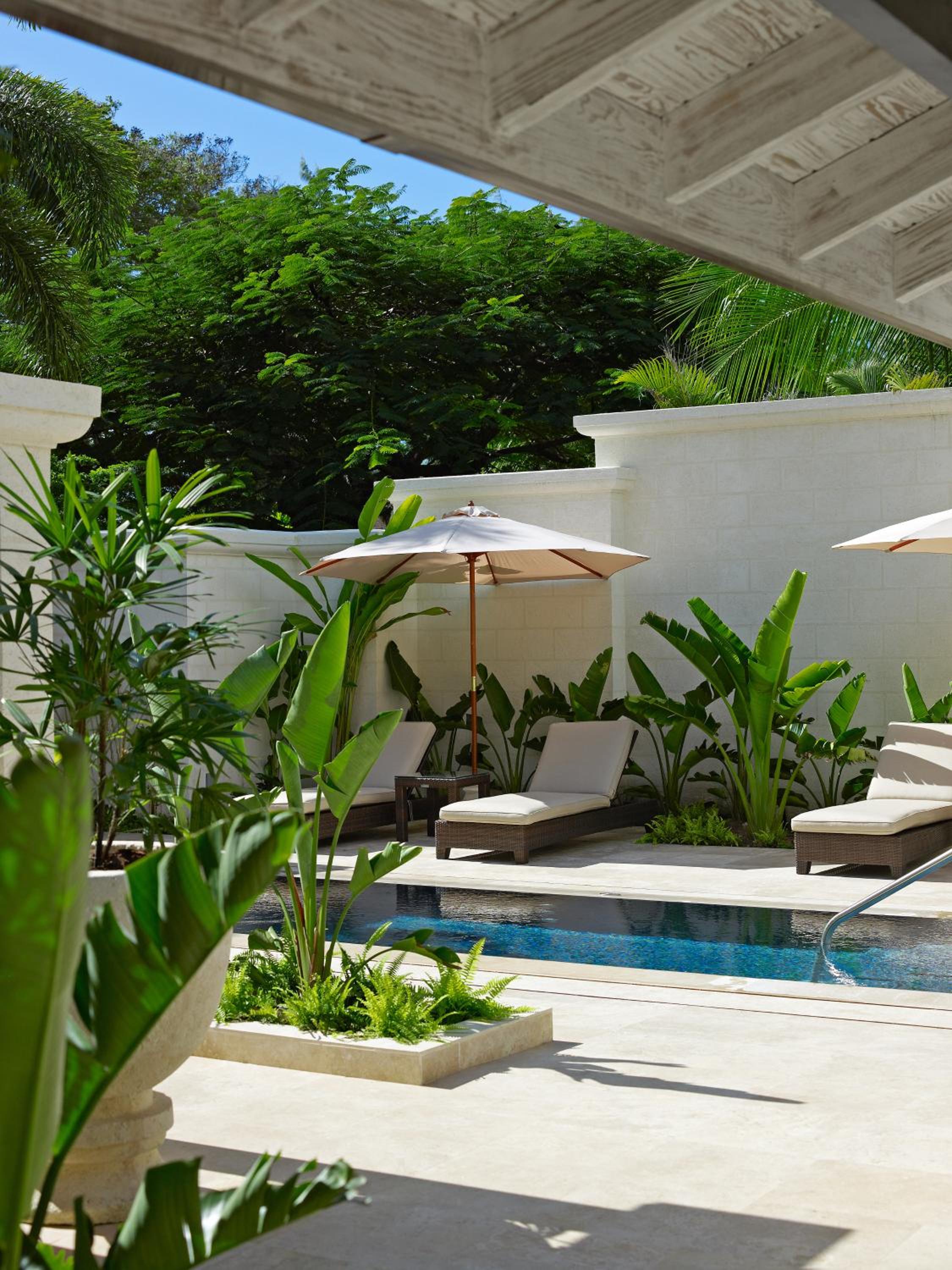 Coral Reef Club