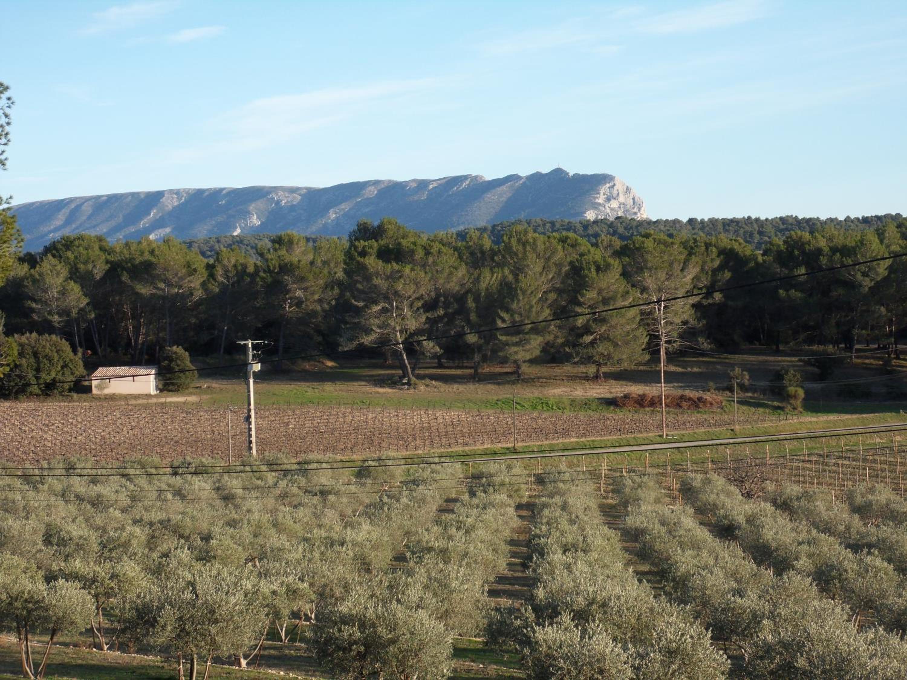 Domaine de L'Olibaou, photo 9