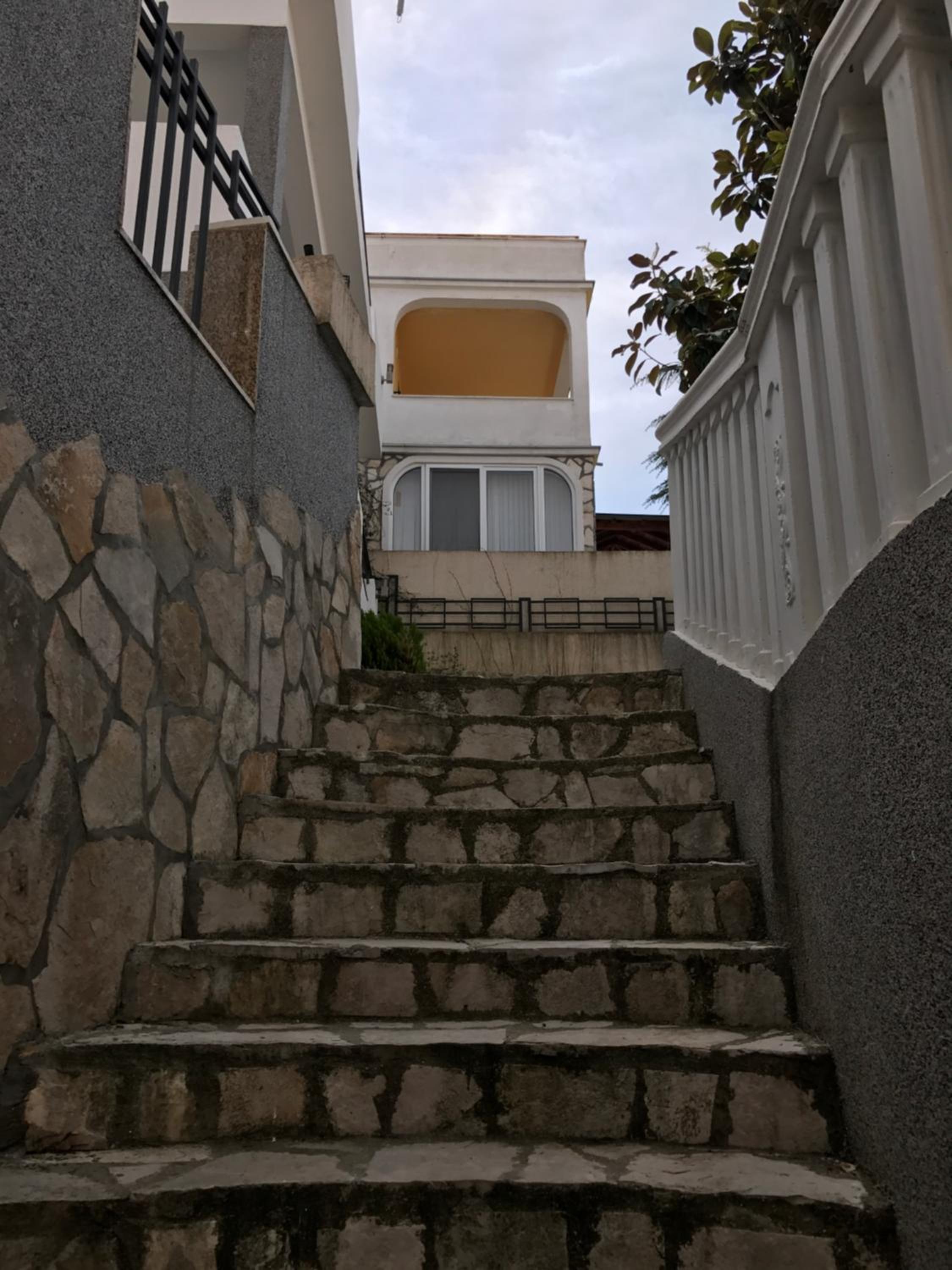 Photo 38