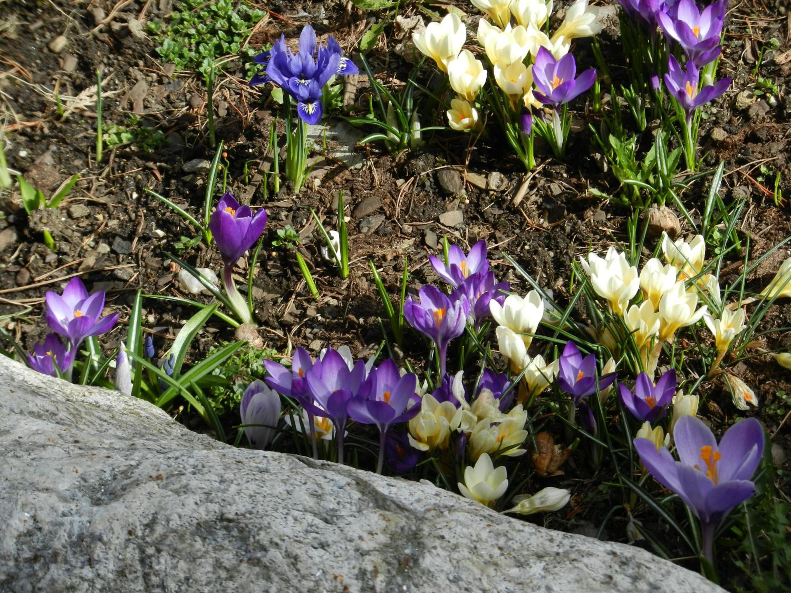 Frühstückspension Eichberger