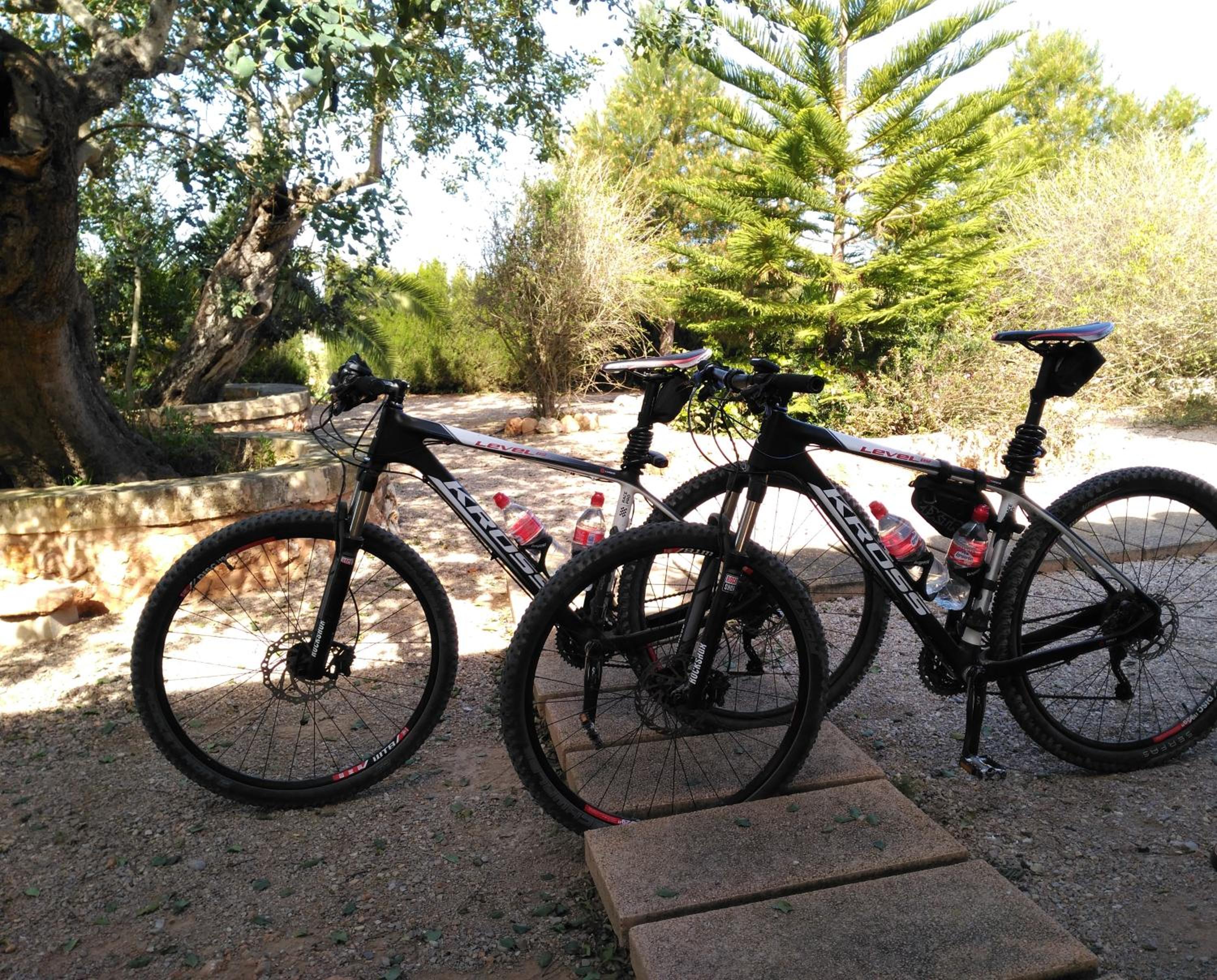 Agroturismo Son Barceló Mas