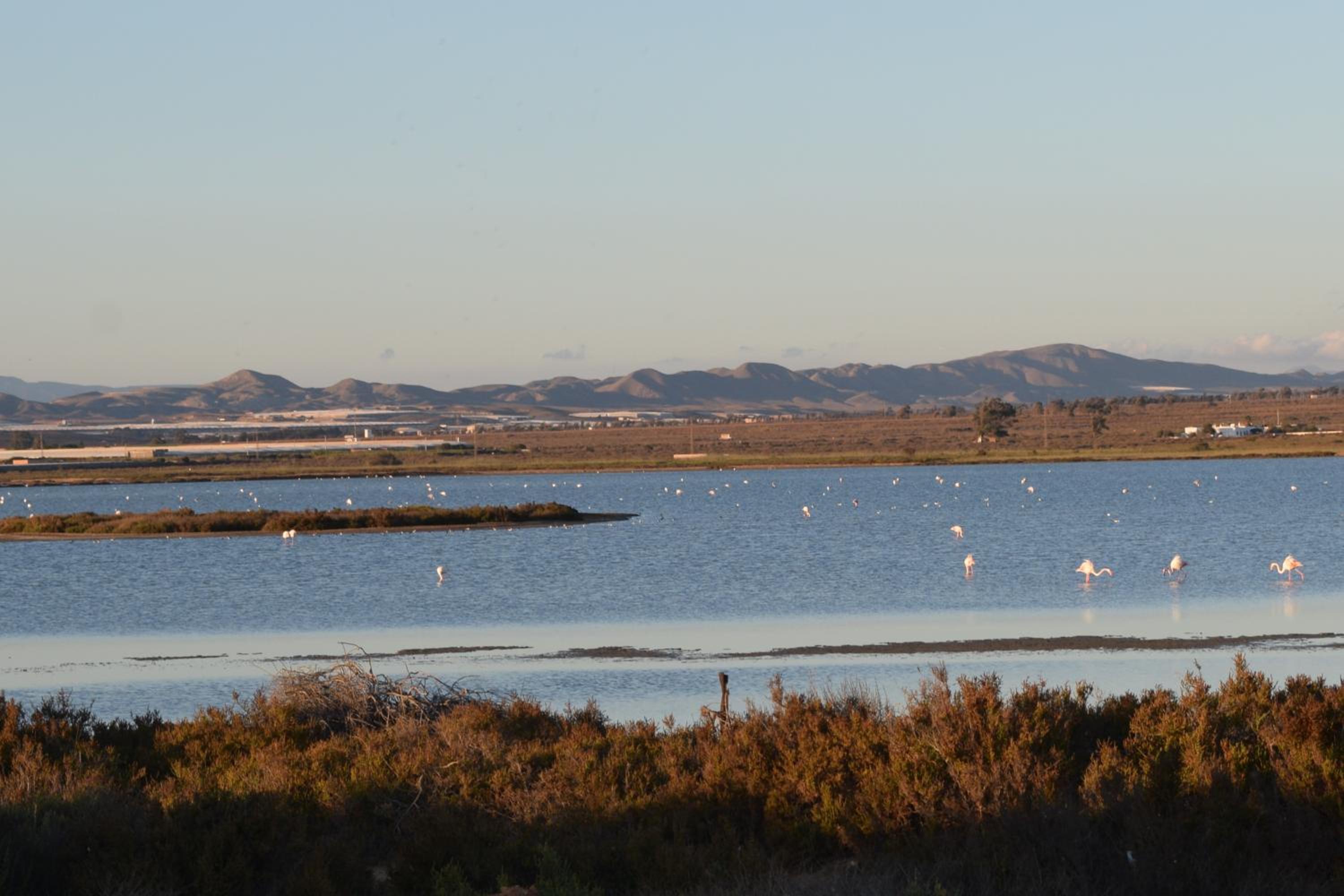 Cortijo La Molina de Cabo de Gata - Property Image 6