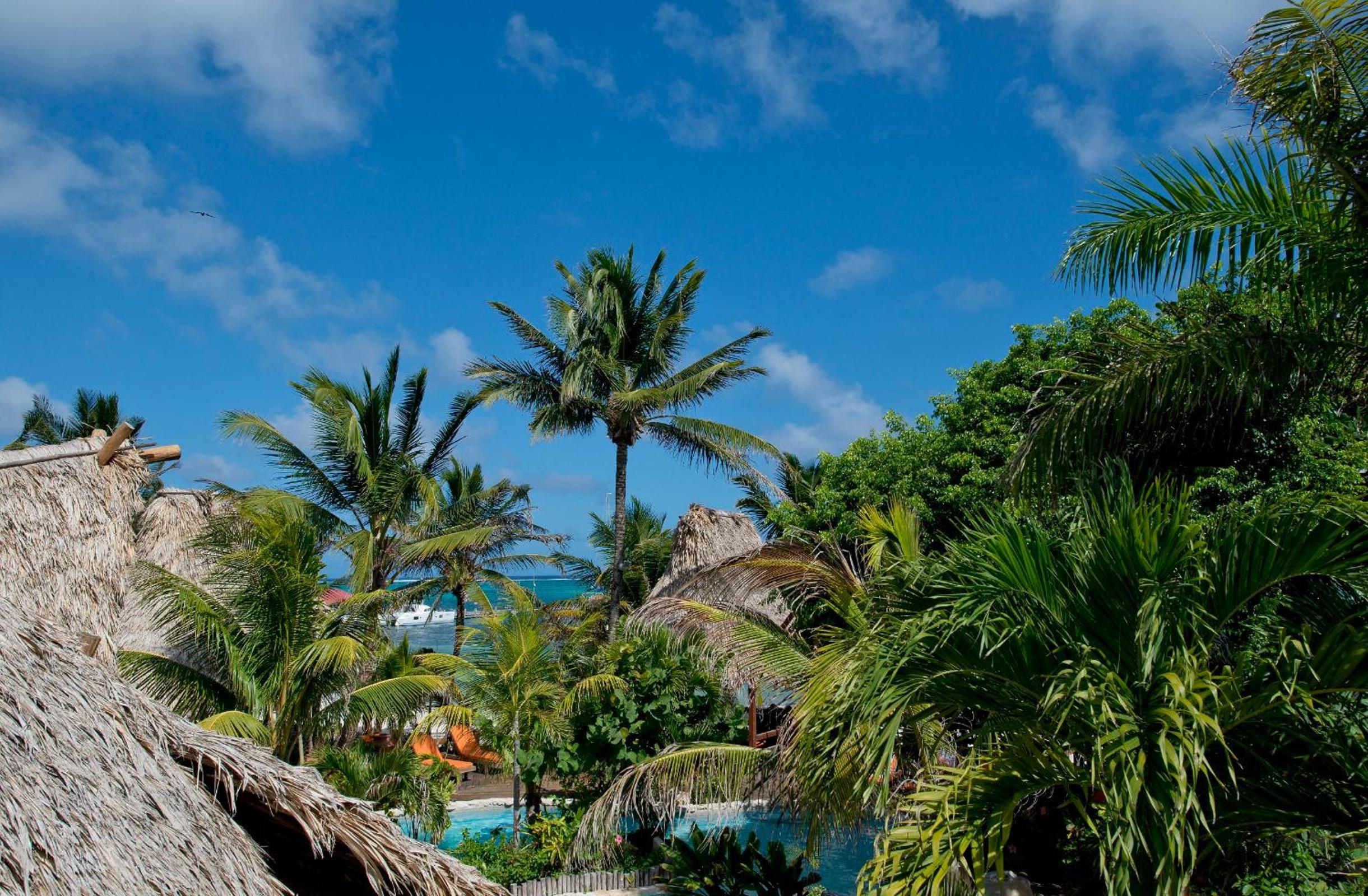 Ramon's Village Resort, photo 36