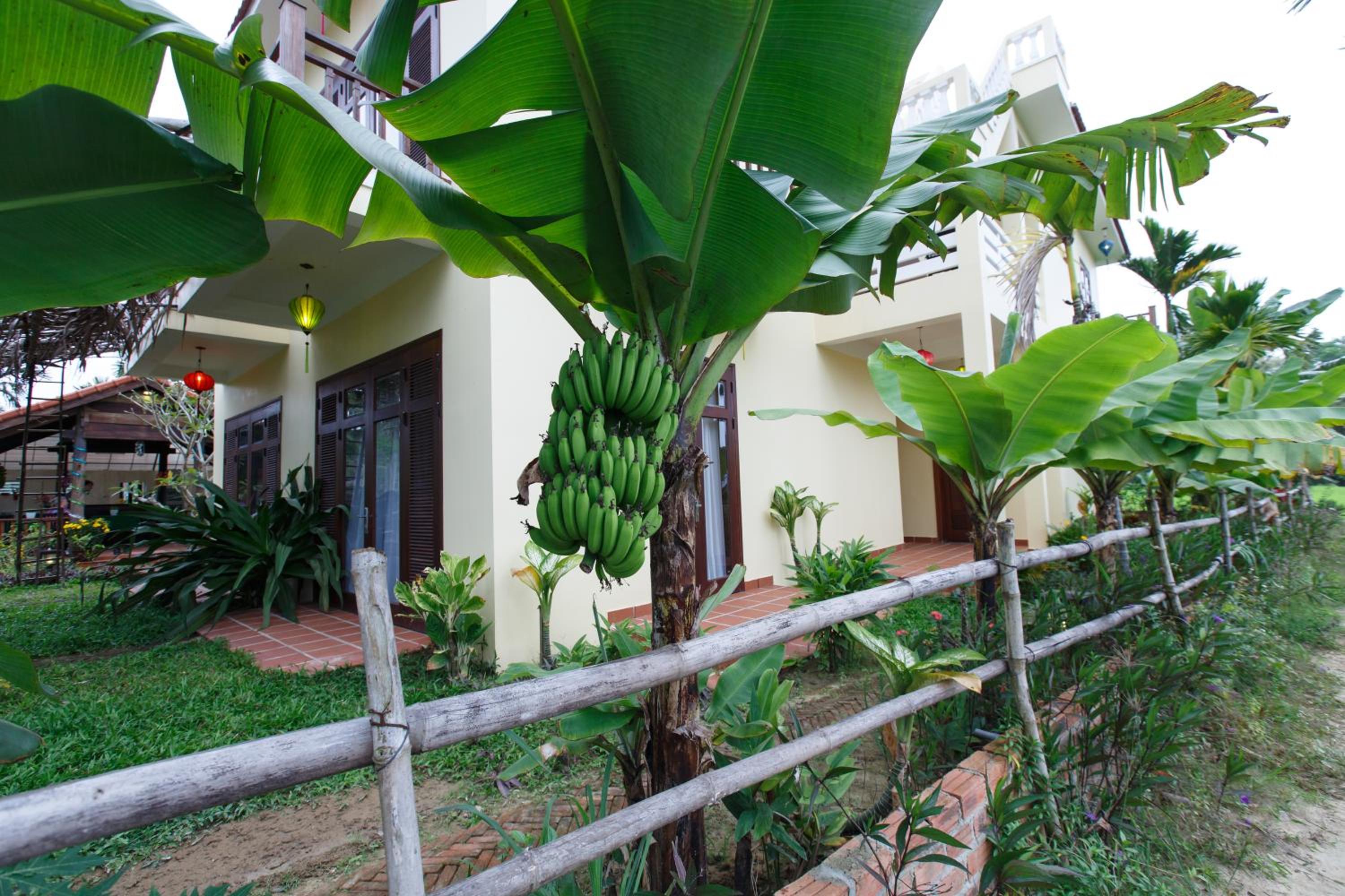 Lama Villa Hoi An