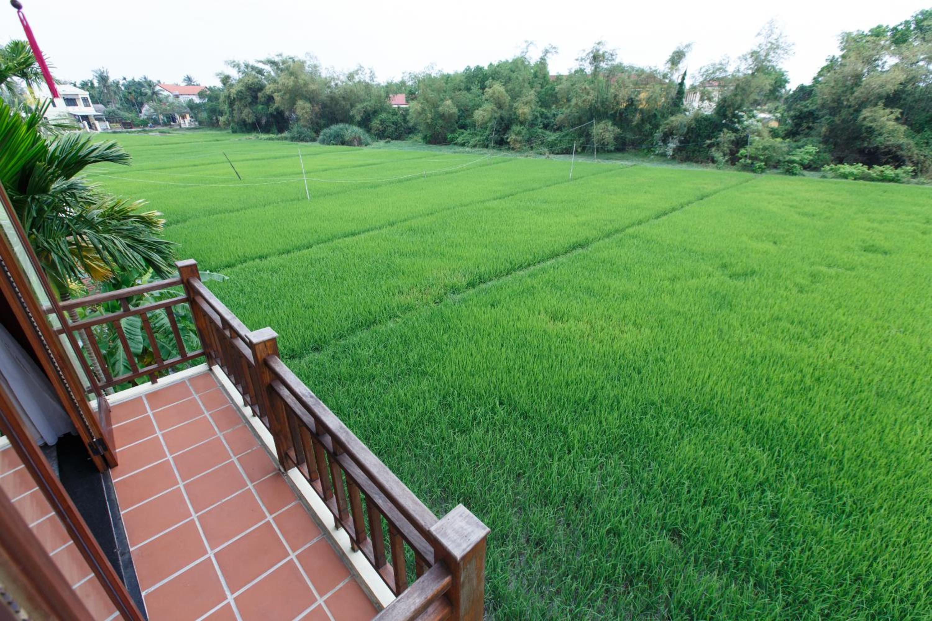 Lama Villa Hoi An