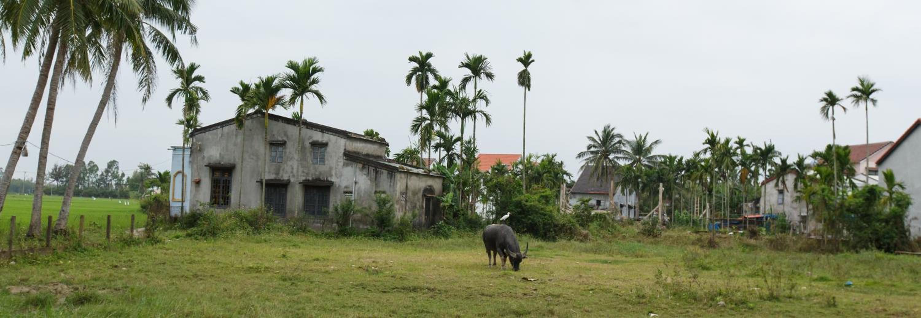 Lama Villa Hoi An