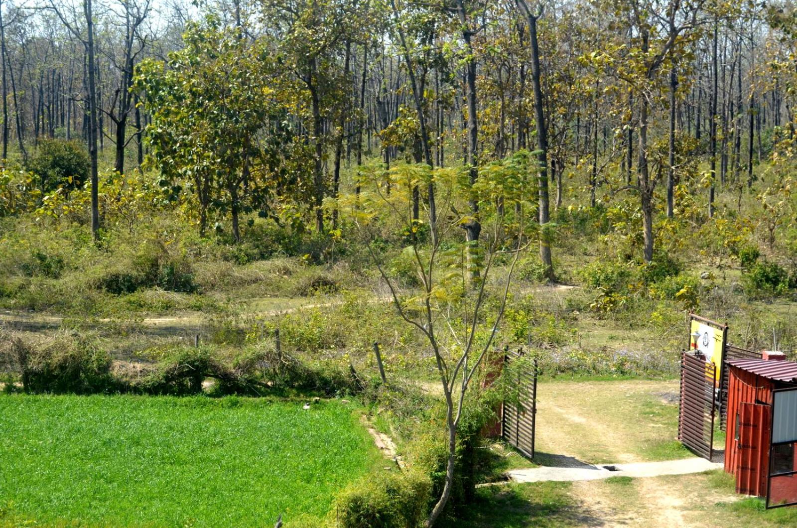 Photo 45