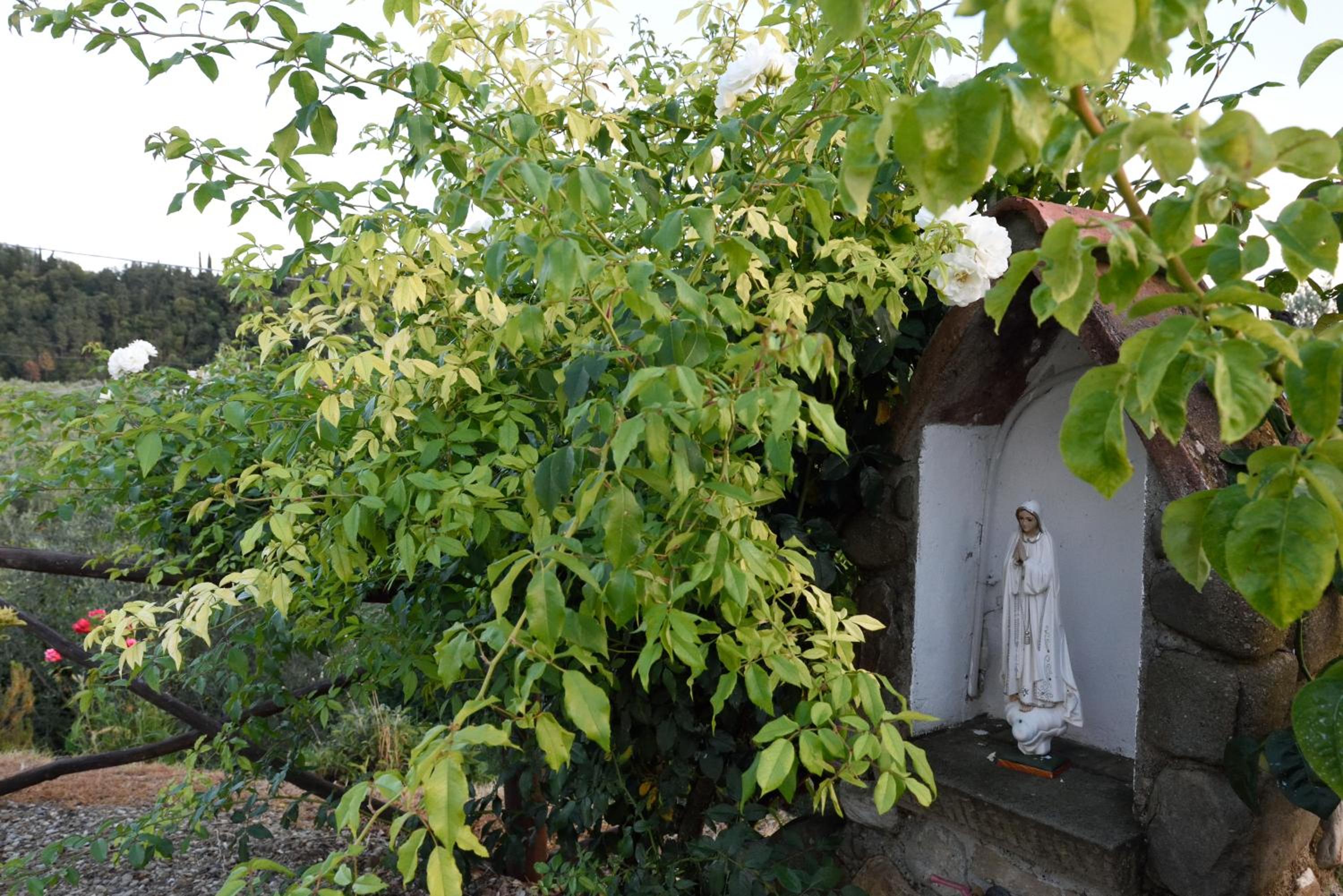 Agriturismo La Casuccia