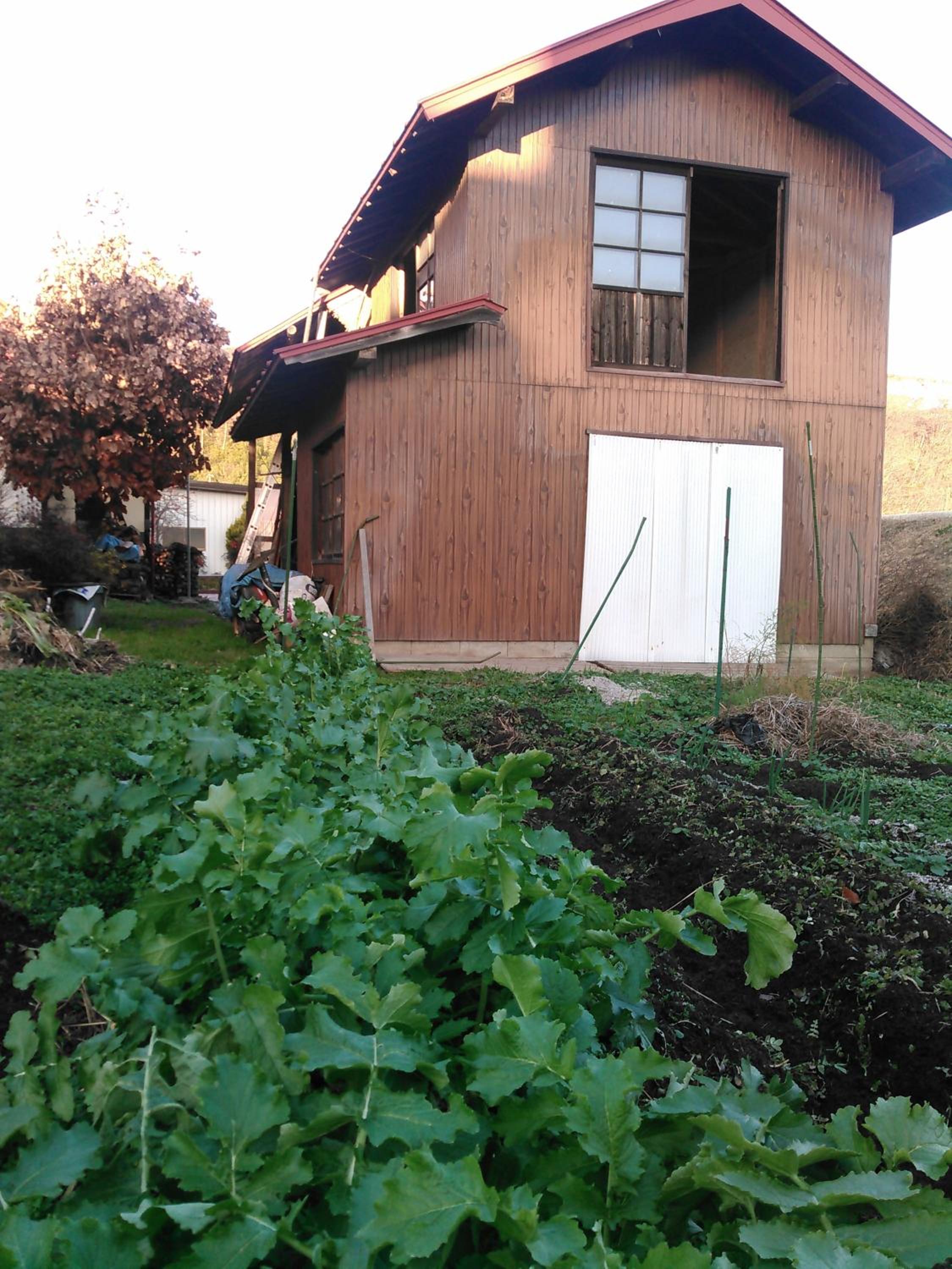 Photo 34