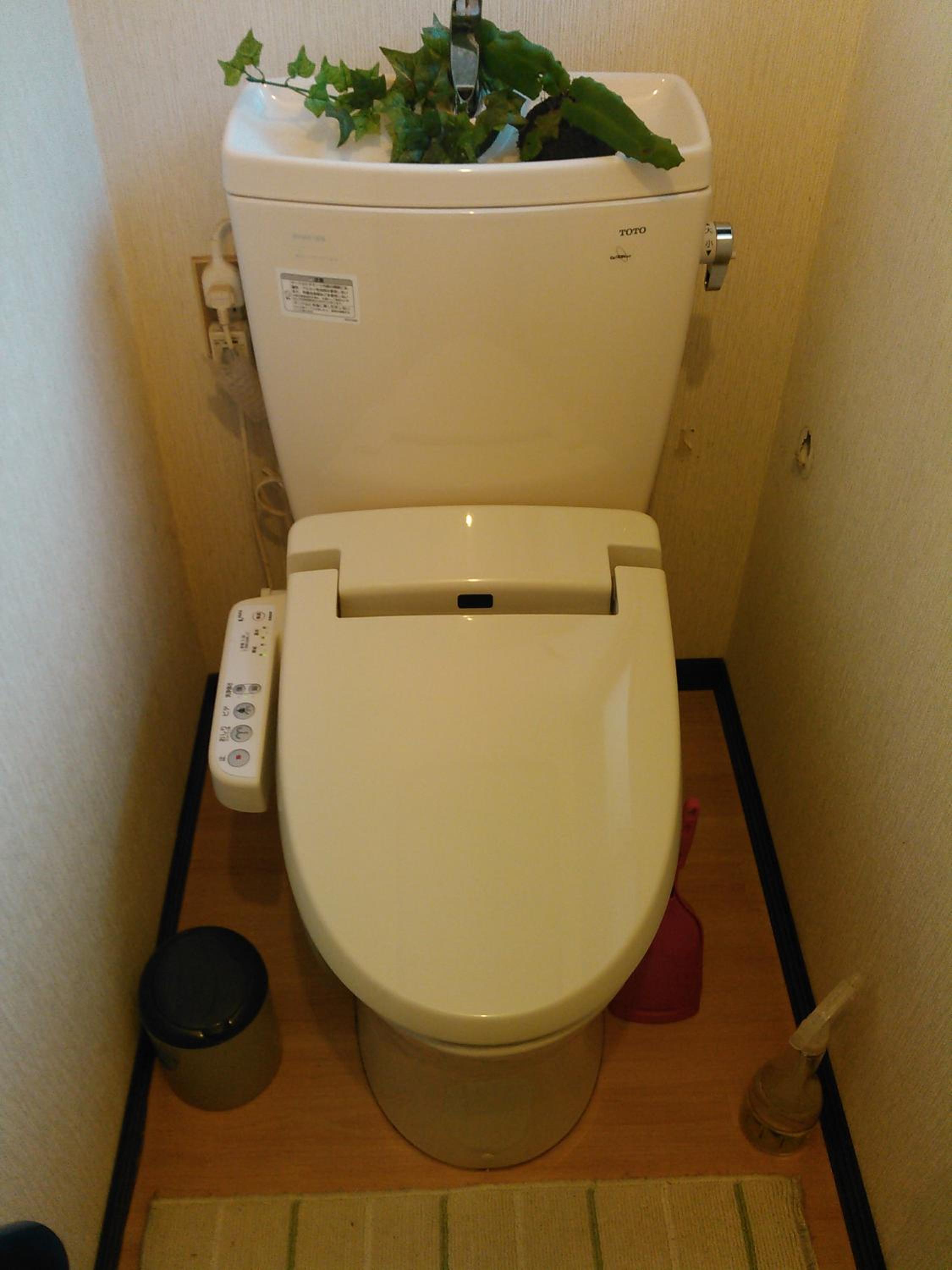 Photo 27