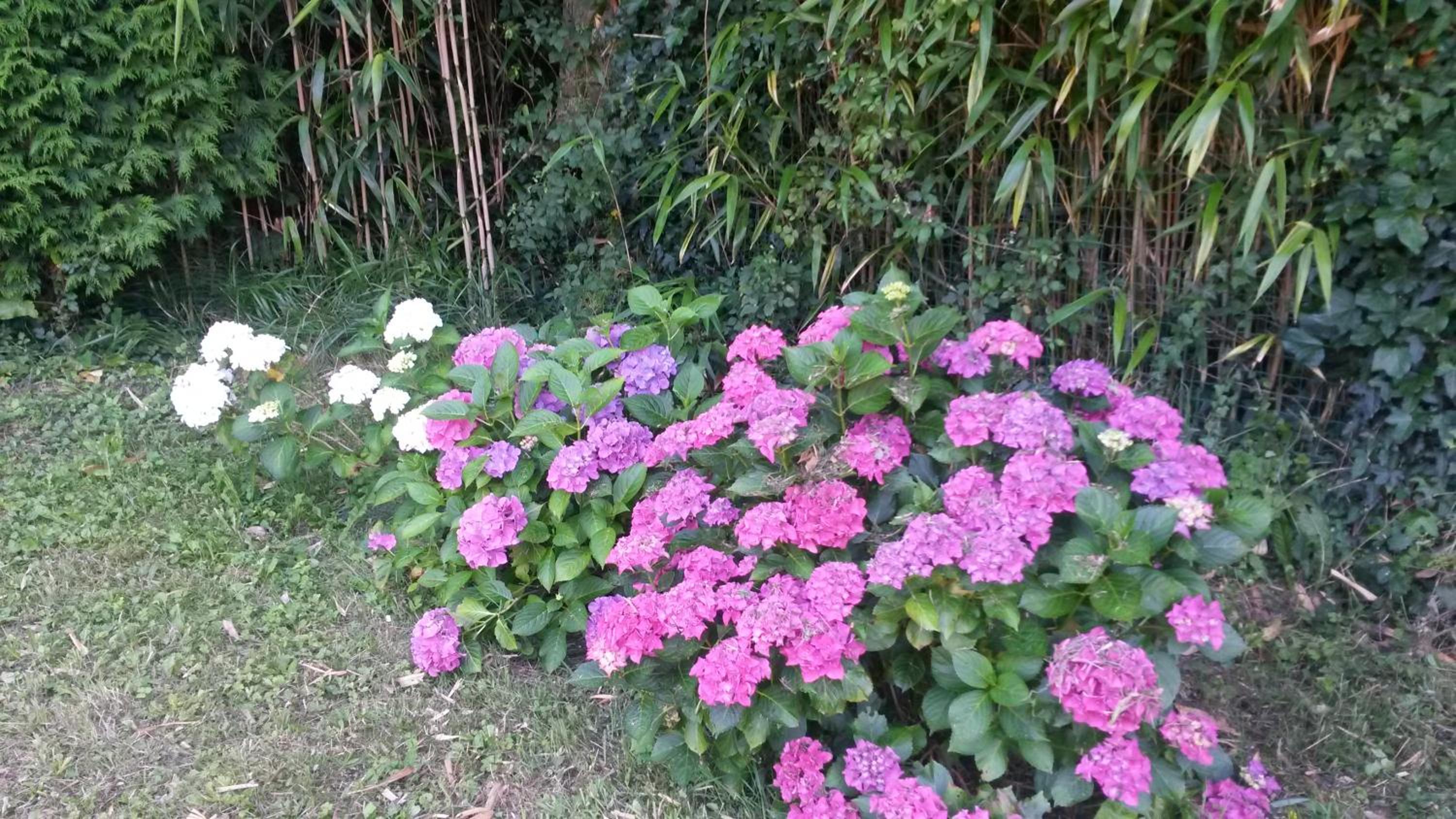 Ibarrondo Etxea, photo 9