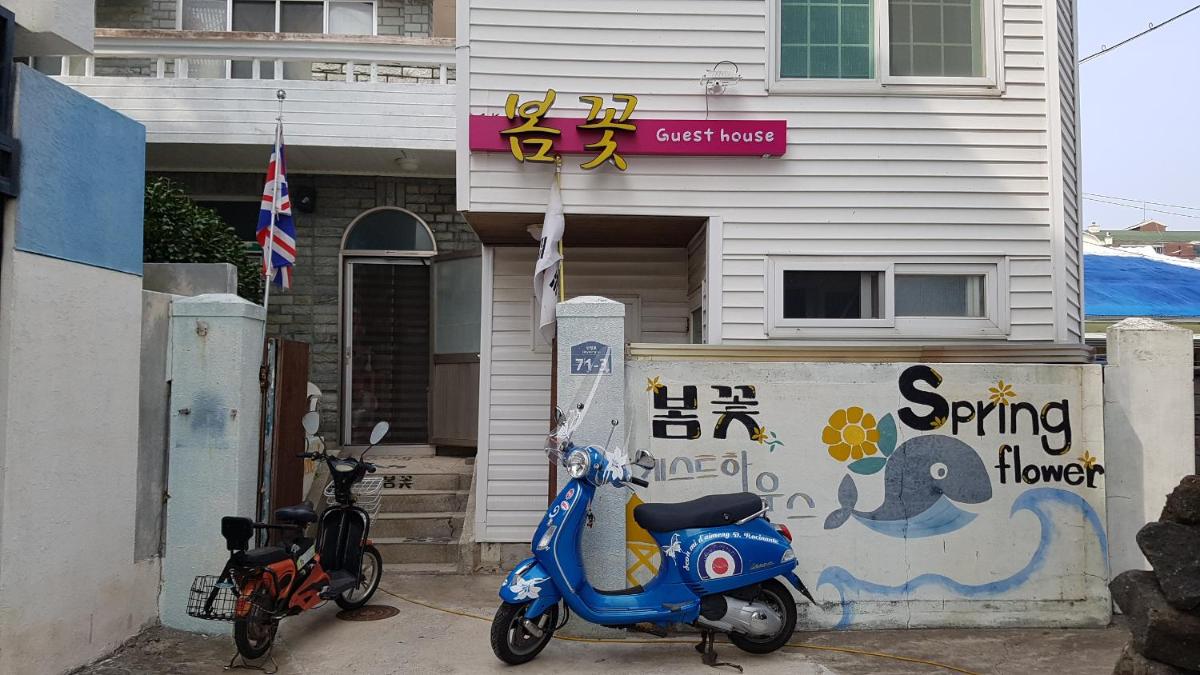 Guesthouse Spring Flower view 2